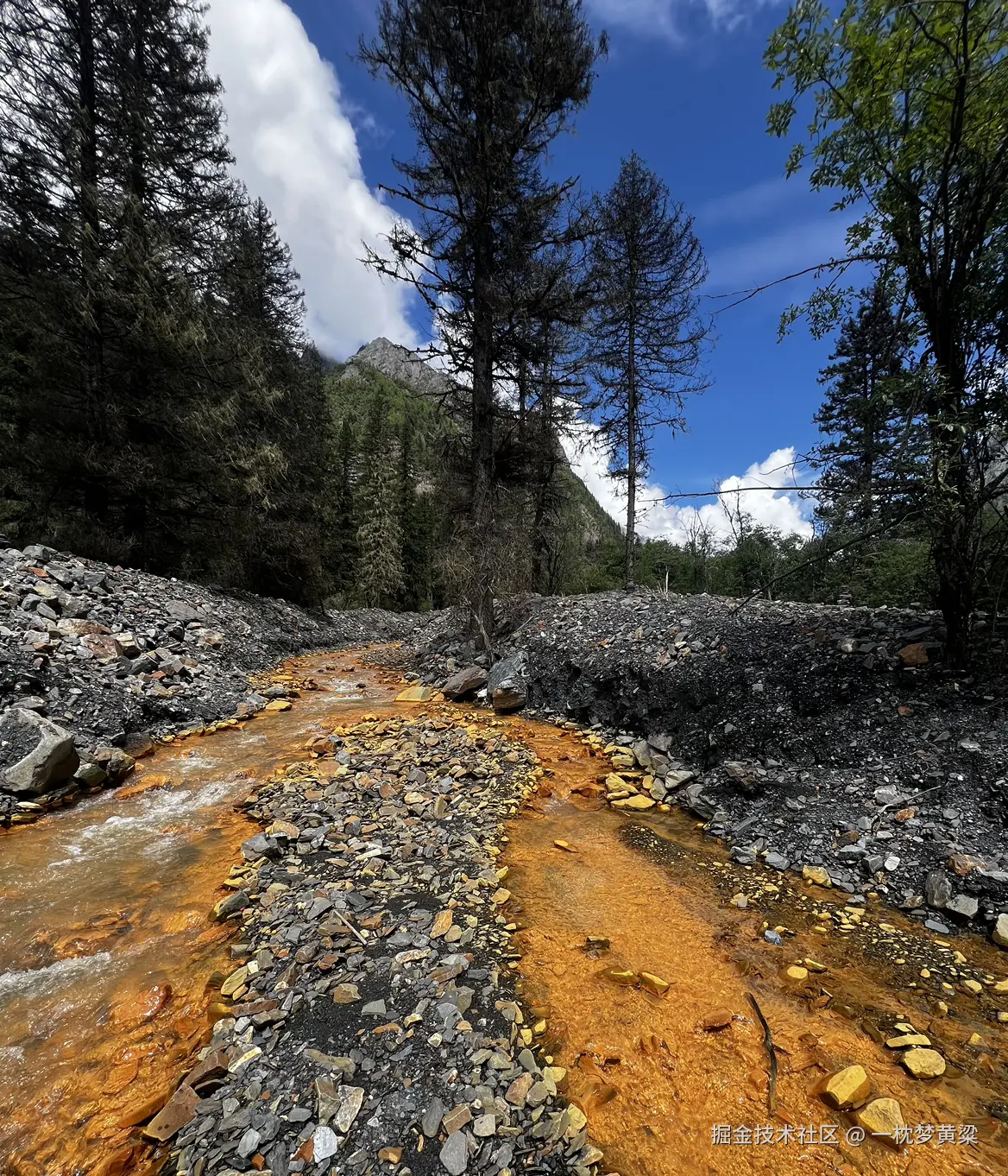 一枕梦黄粱于2024-08-19 16:44发布的图片