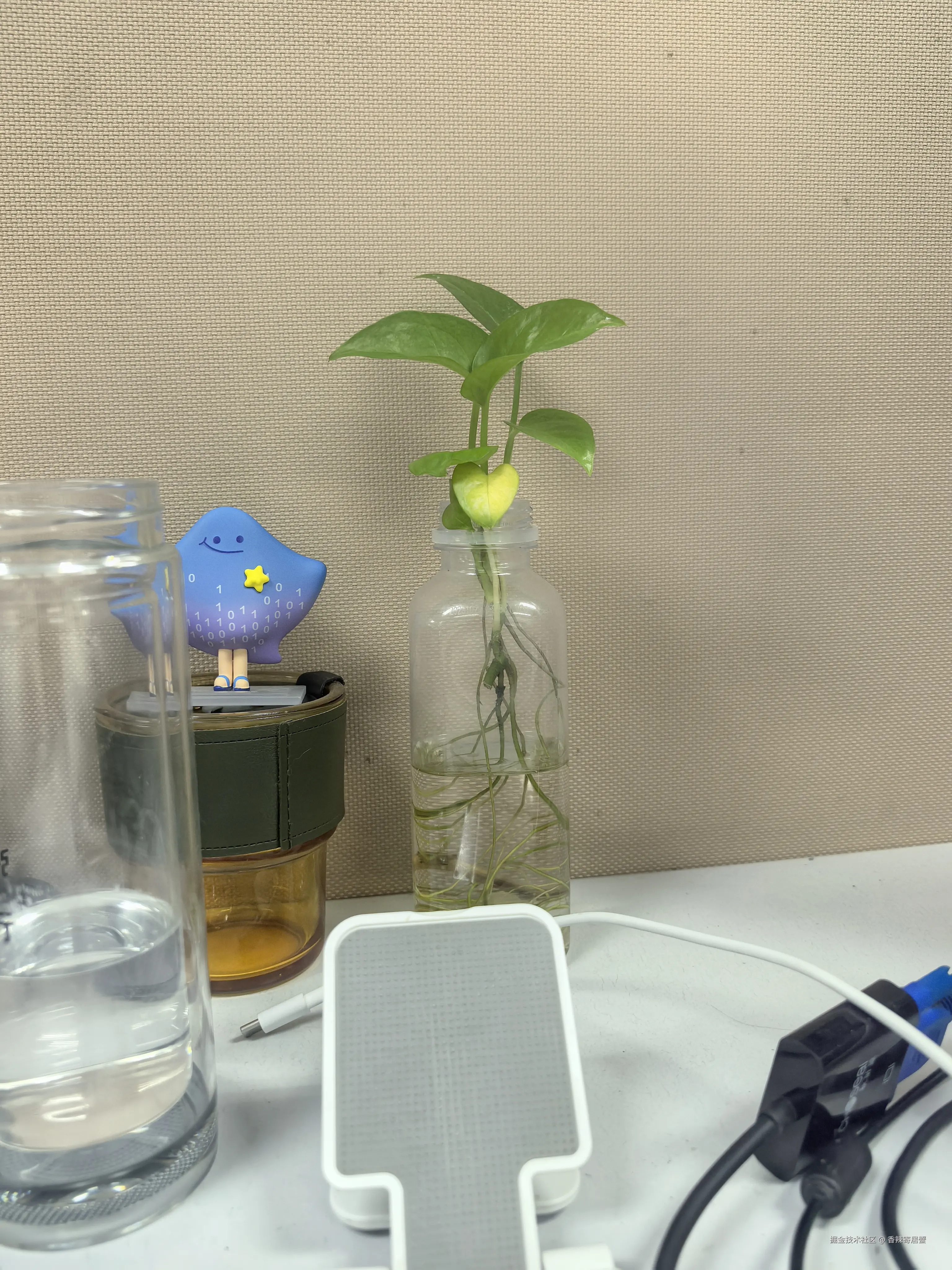 香辣寄居蟹于2025-11-19 18:05发布的图片