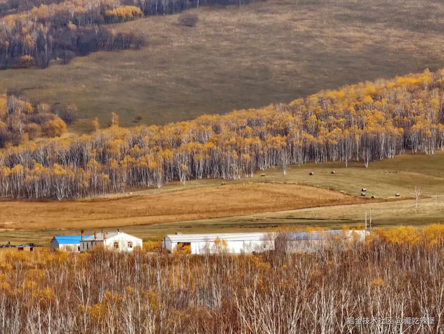 爱吃辣堡于2025-09-29 16:35发布的图片
