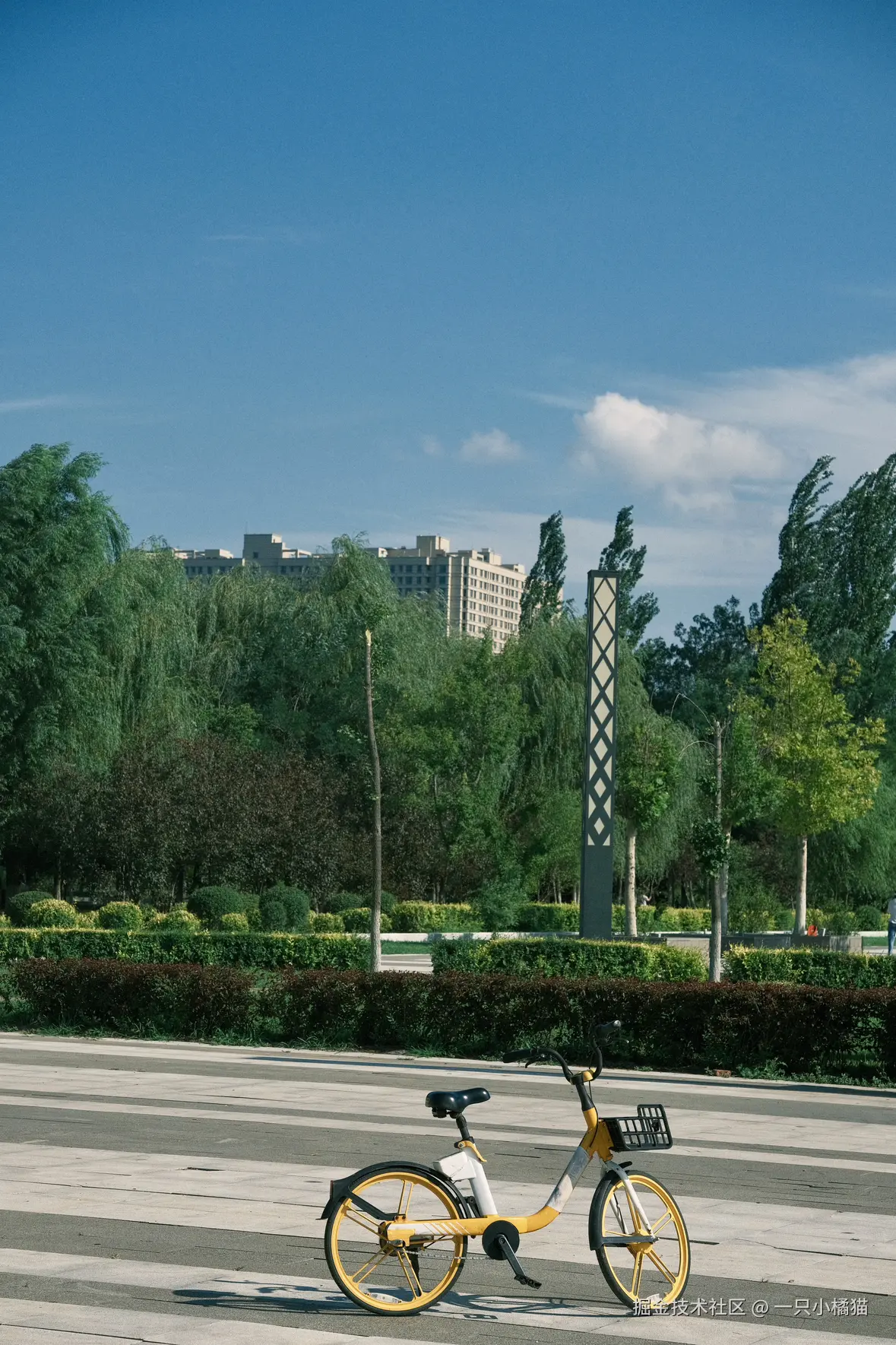 一只小橘猫于2025-08-07 15:55发布的图片