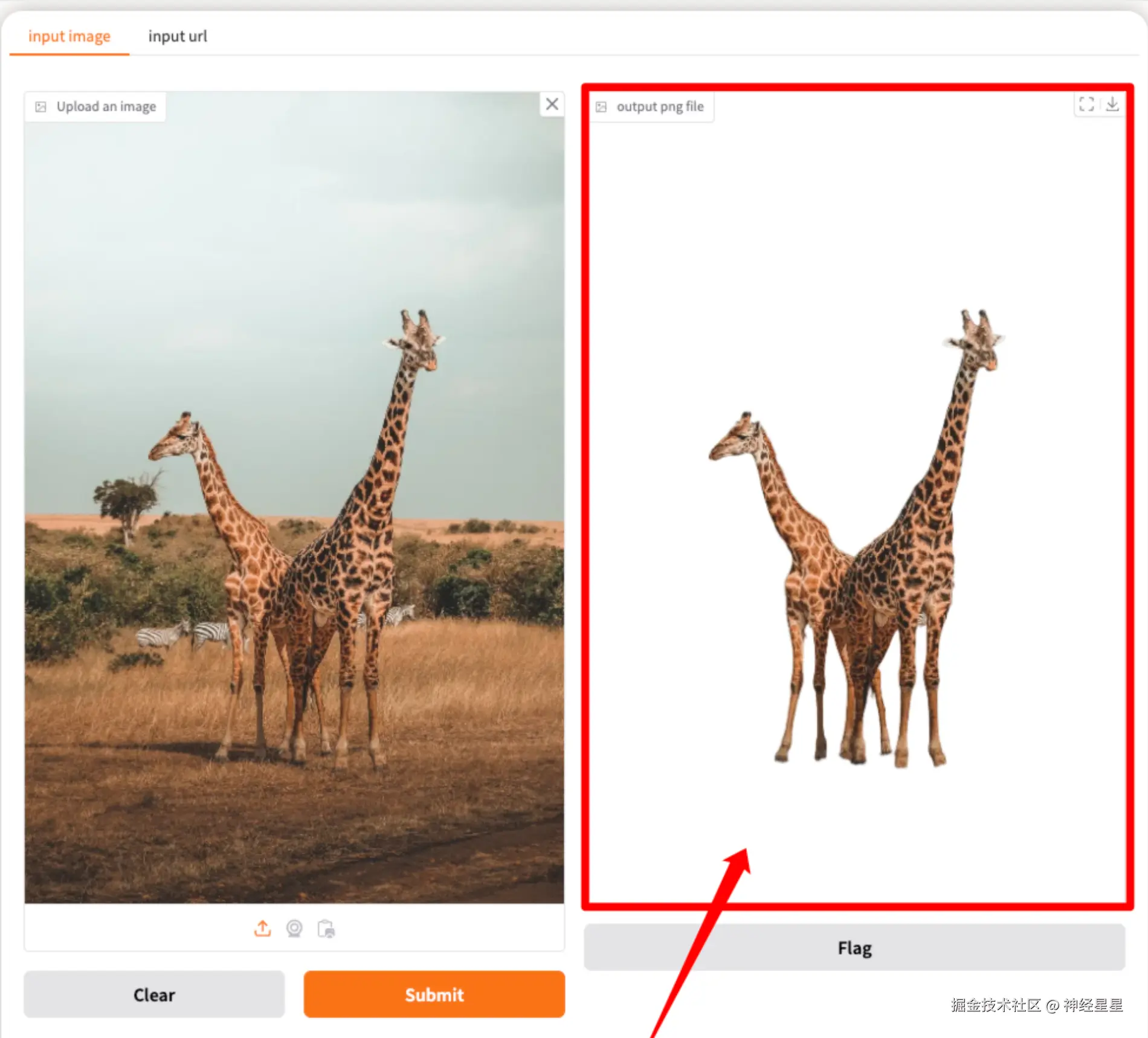 神经星星于2024-12-16 17:20发布的图片