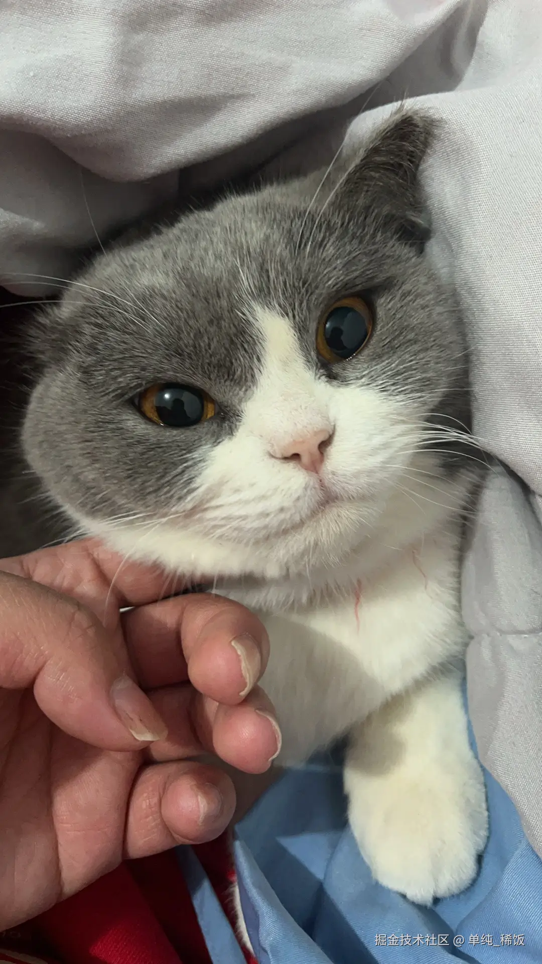 单纯_稀饭于2025-02-07 08:15发布的图片