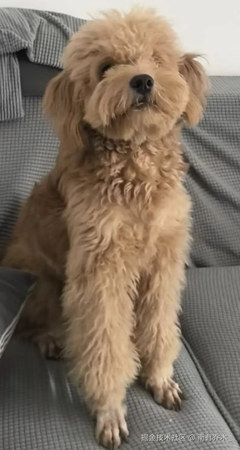 南有乔木_于2024-09-20 18:55发布的图片