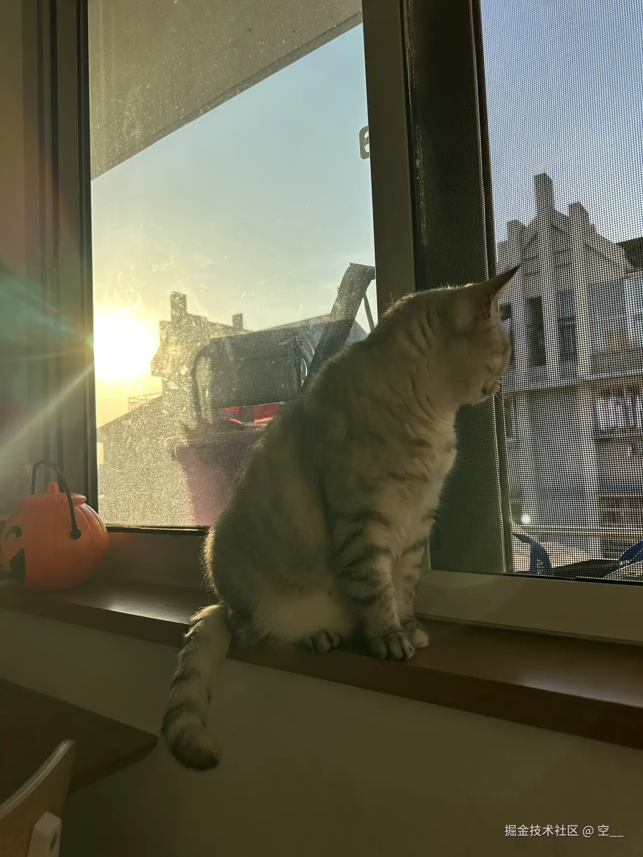 空__于2025-04-27 13:56发布的图片