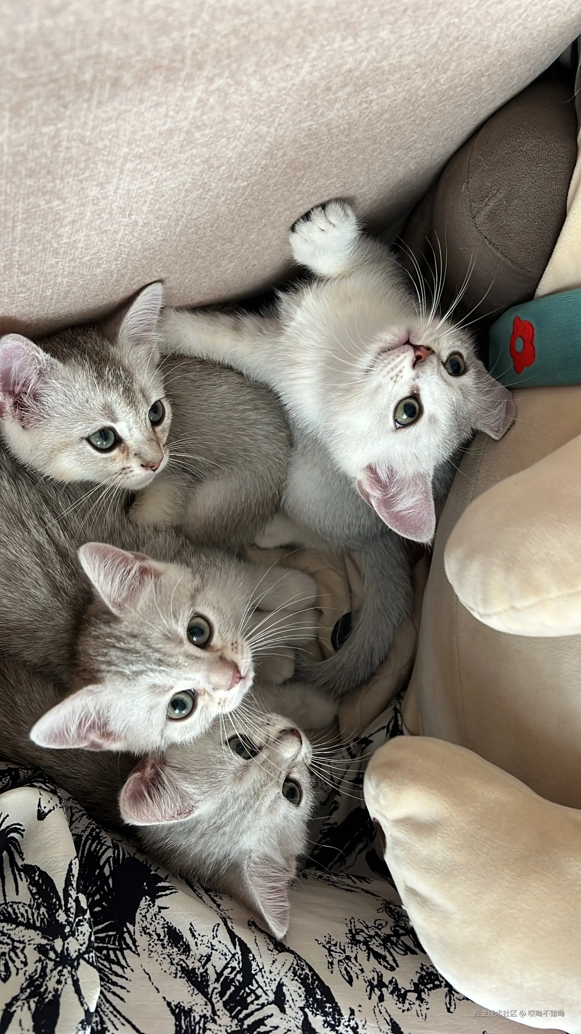 哎呦不错呦于2024-08-08 11:09发布的图片