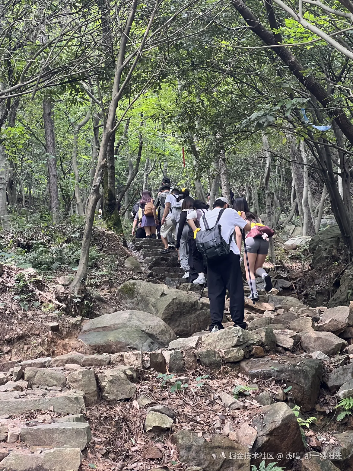 浅唱_那一缕阳光于2025-06-16 11:04发布的图片