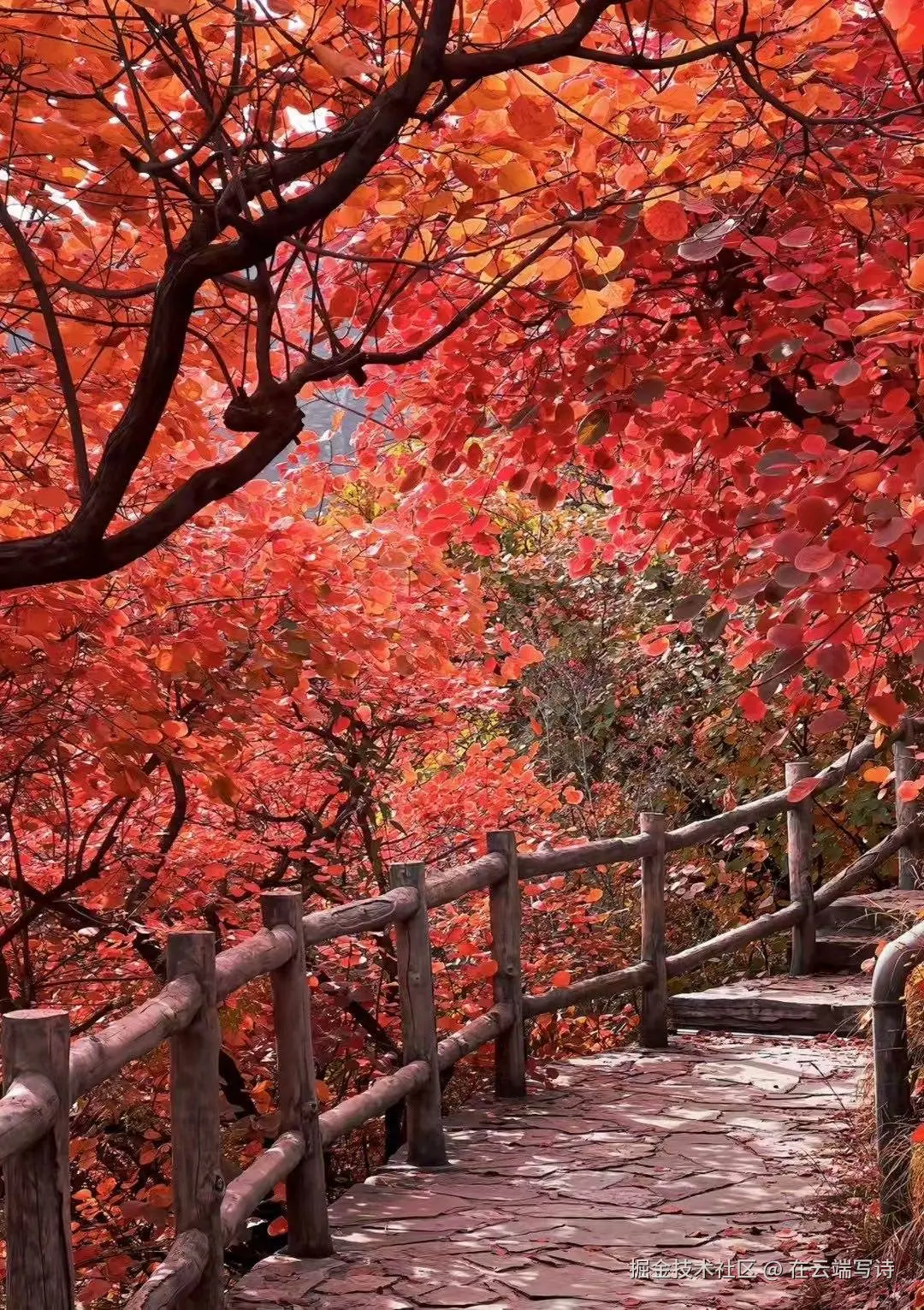 在云端写诗于2025-10-27 10:27发布的图片