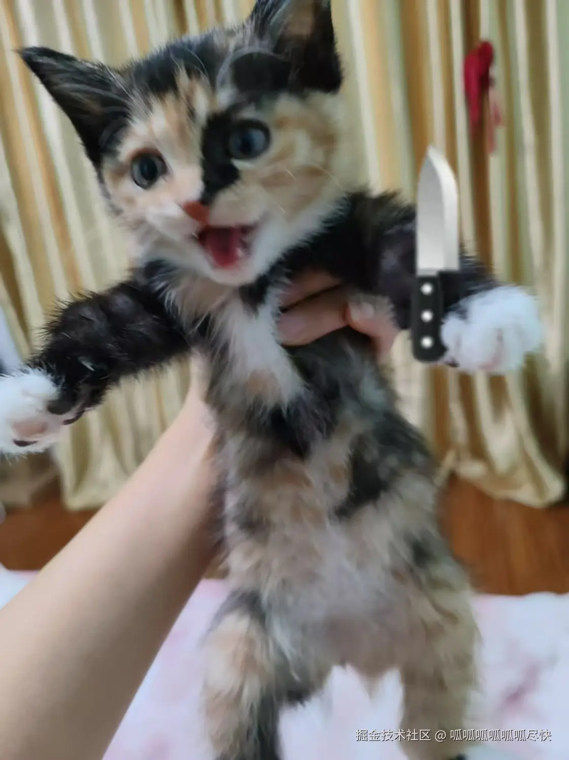 呱呱呱呱呱呱尽快于2025-04-27 09:43发布的图片