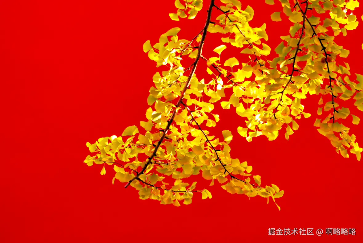 啊略略略于2024-10-28 02:27发布的图片