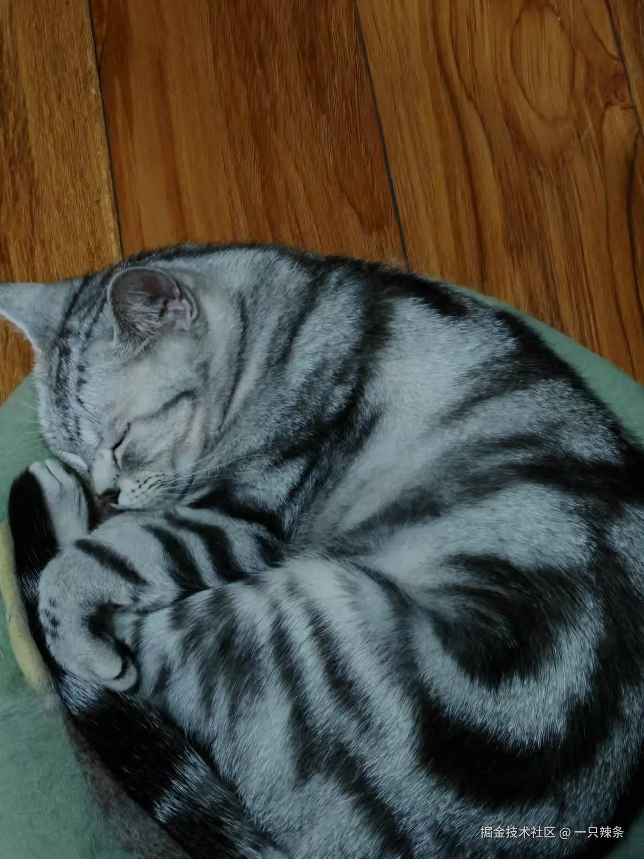 一只辣条于2025-05-15 11:28发布的图片