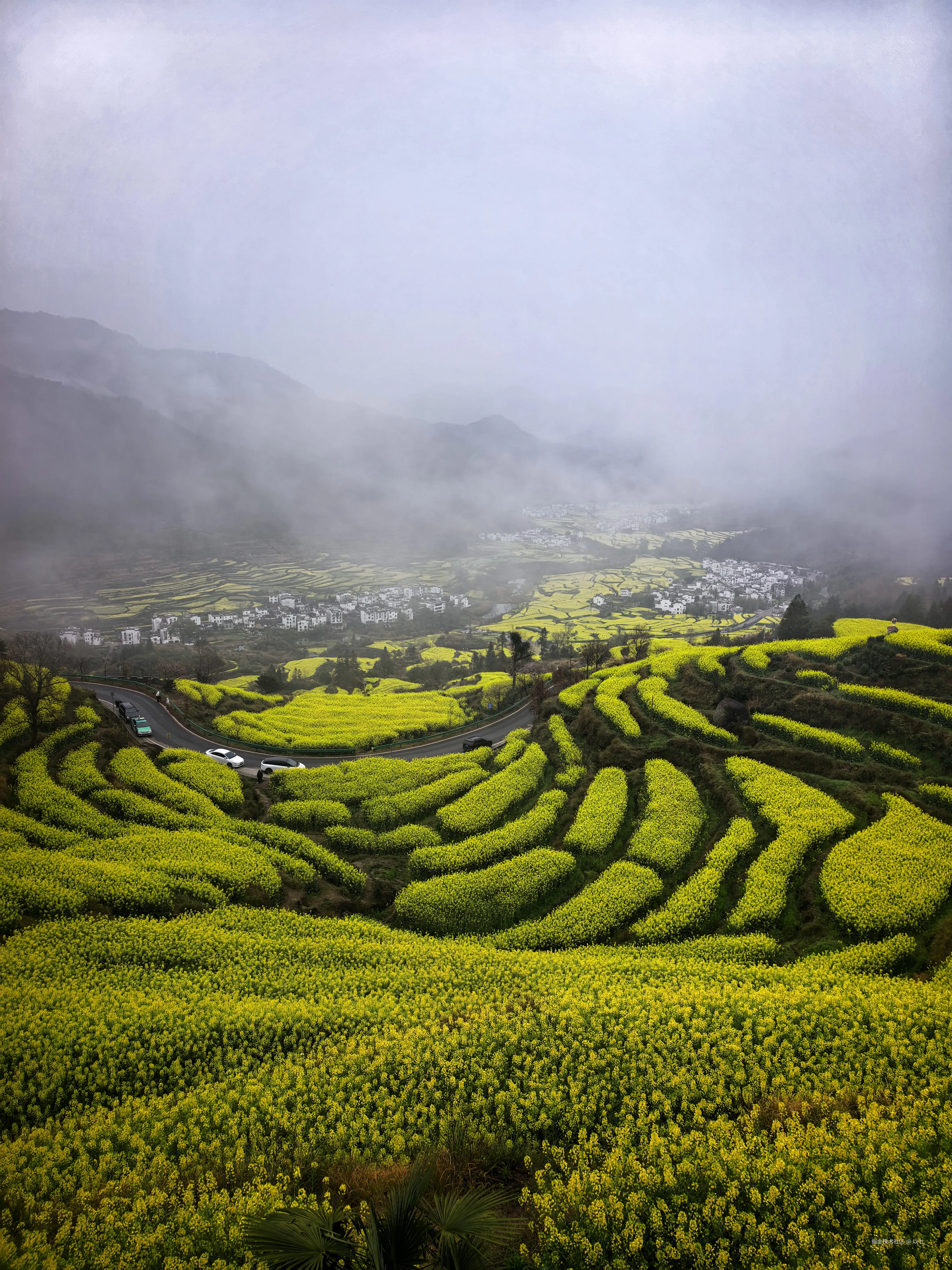 以七_于2026-03-24 11:30发布的图片