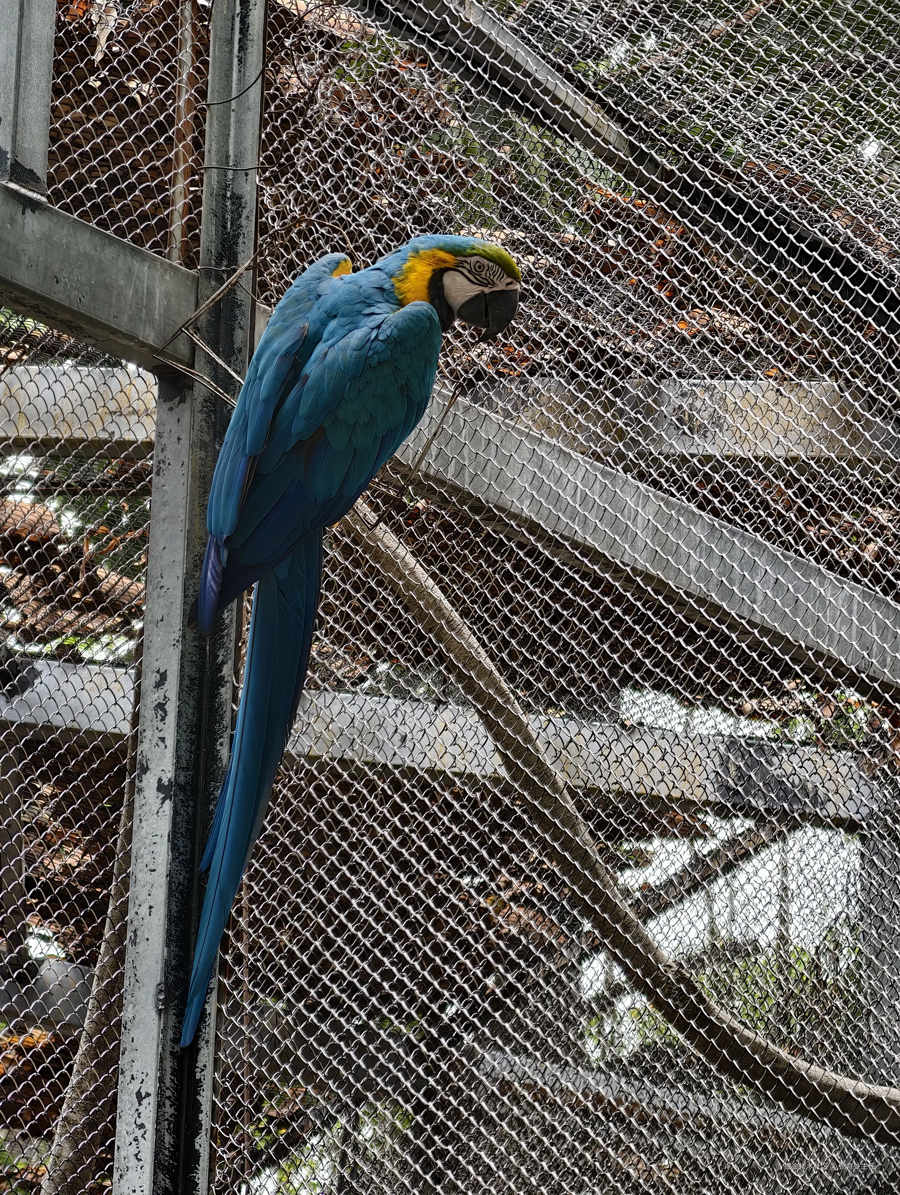 德育处主任于2025-05-10 14:29发布的图片