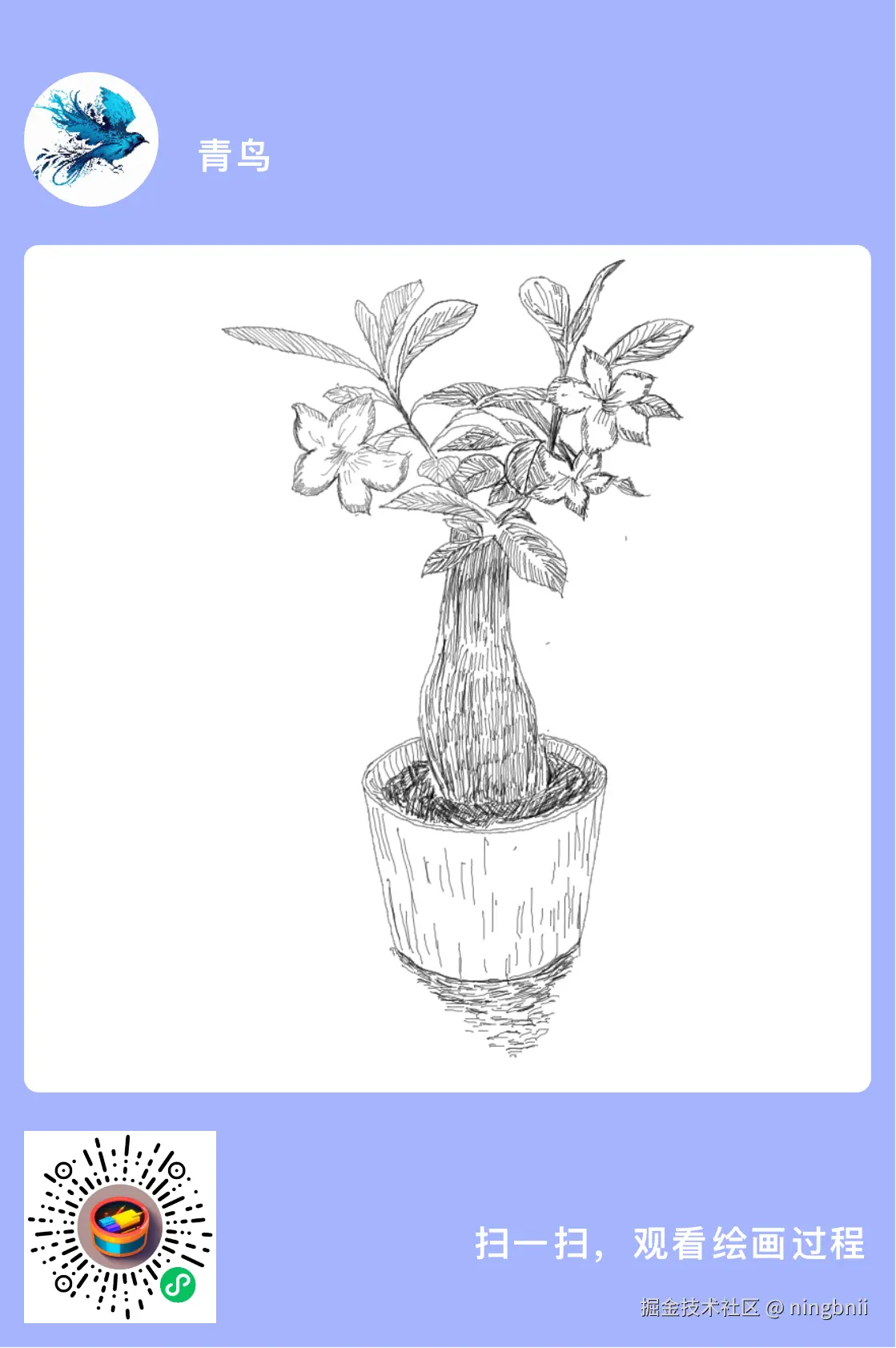 ningbnii于2024-08-13 13:00发布的图片