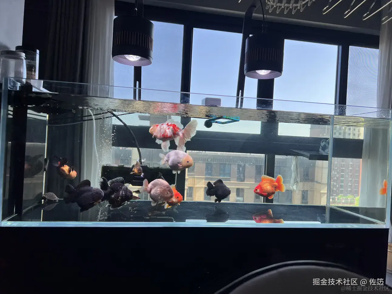 佐笾于2024-08-06 13:40发布的图片
