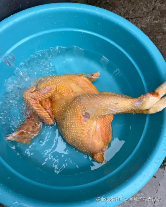 神秘闪亮大蝴蝶于2026-02-26 15:49发布的图片