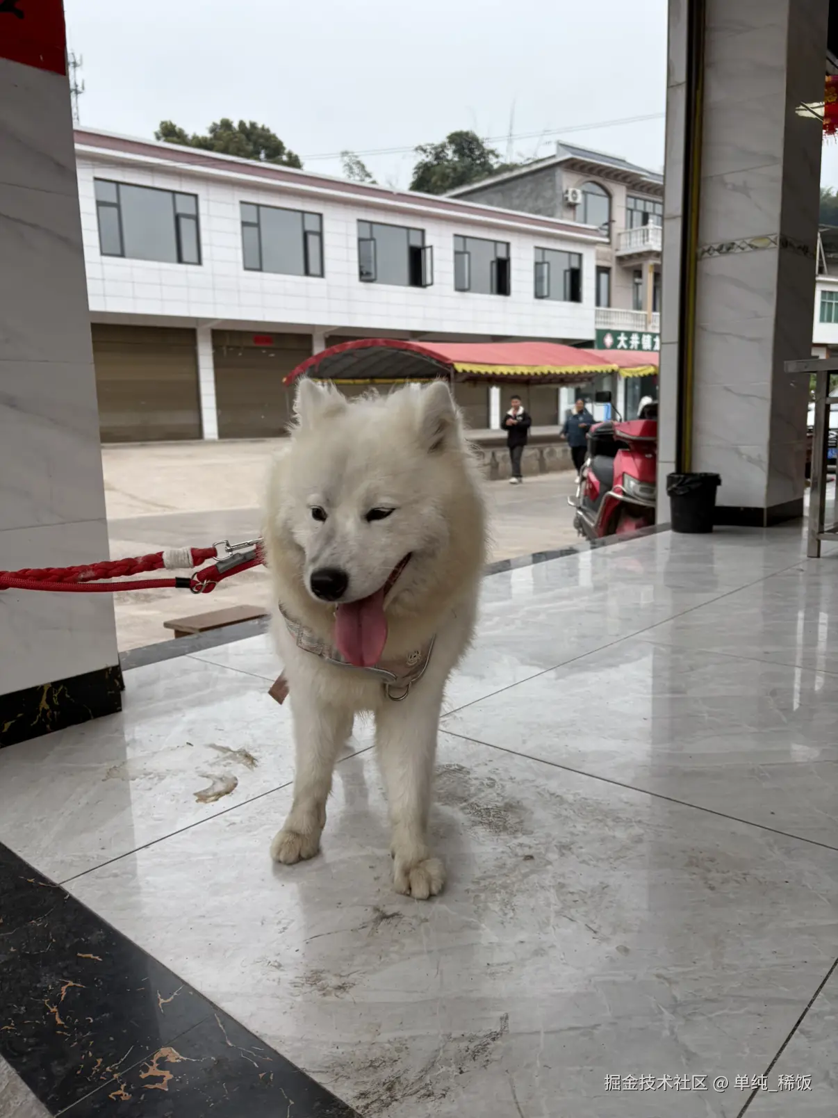 单纯_稀饭于2026-03-02 04:56发布的图片