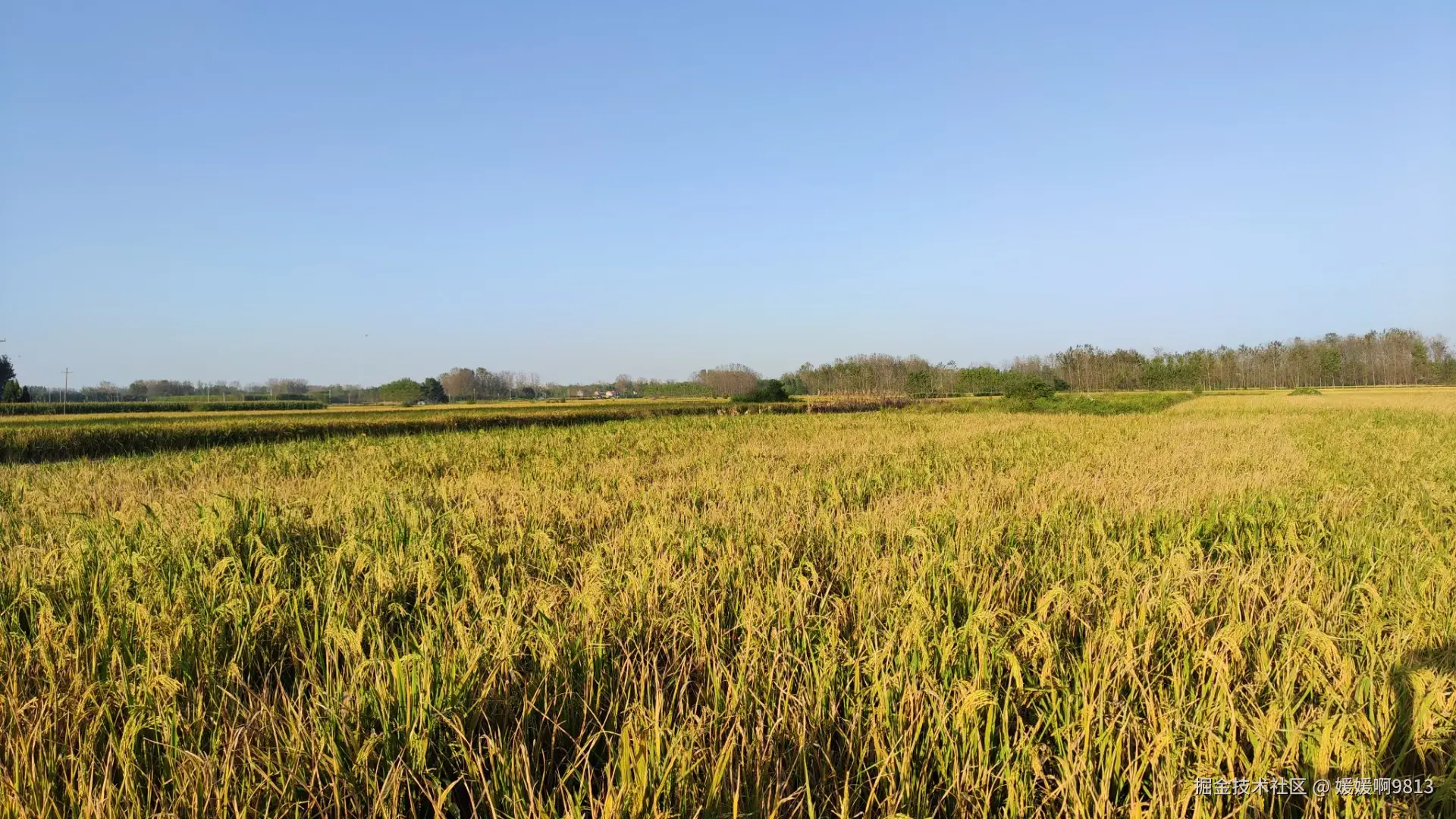 媛媛啊9813于2024-12-15 22:46发布的图片