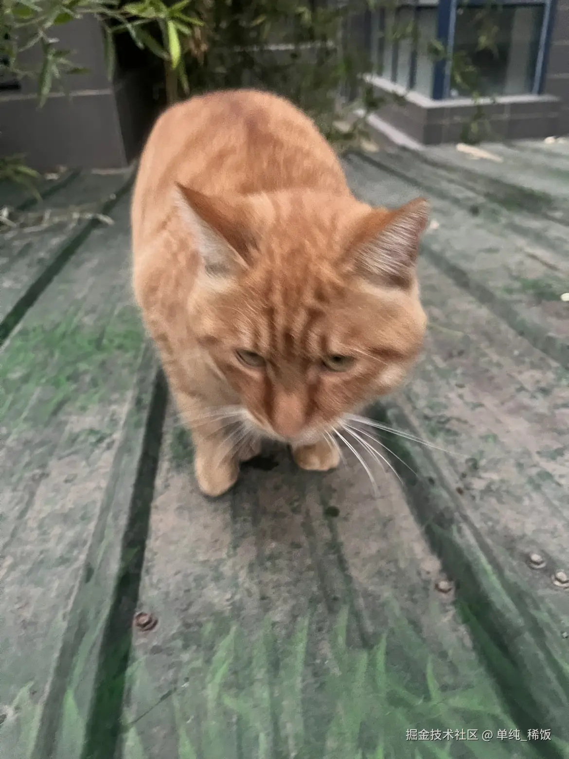 单纯_稀饭于2025-10-28 08:29发布的图片