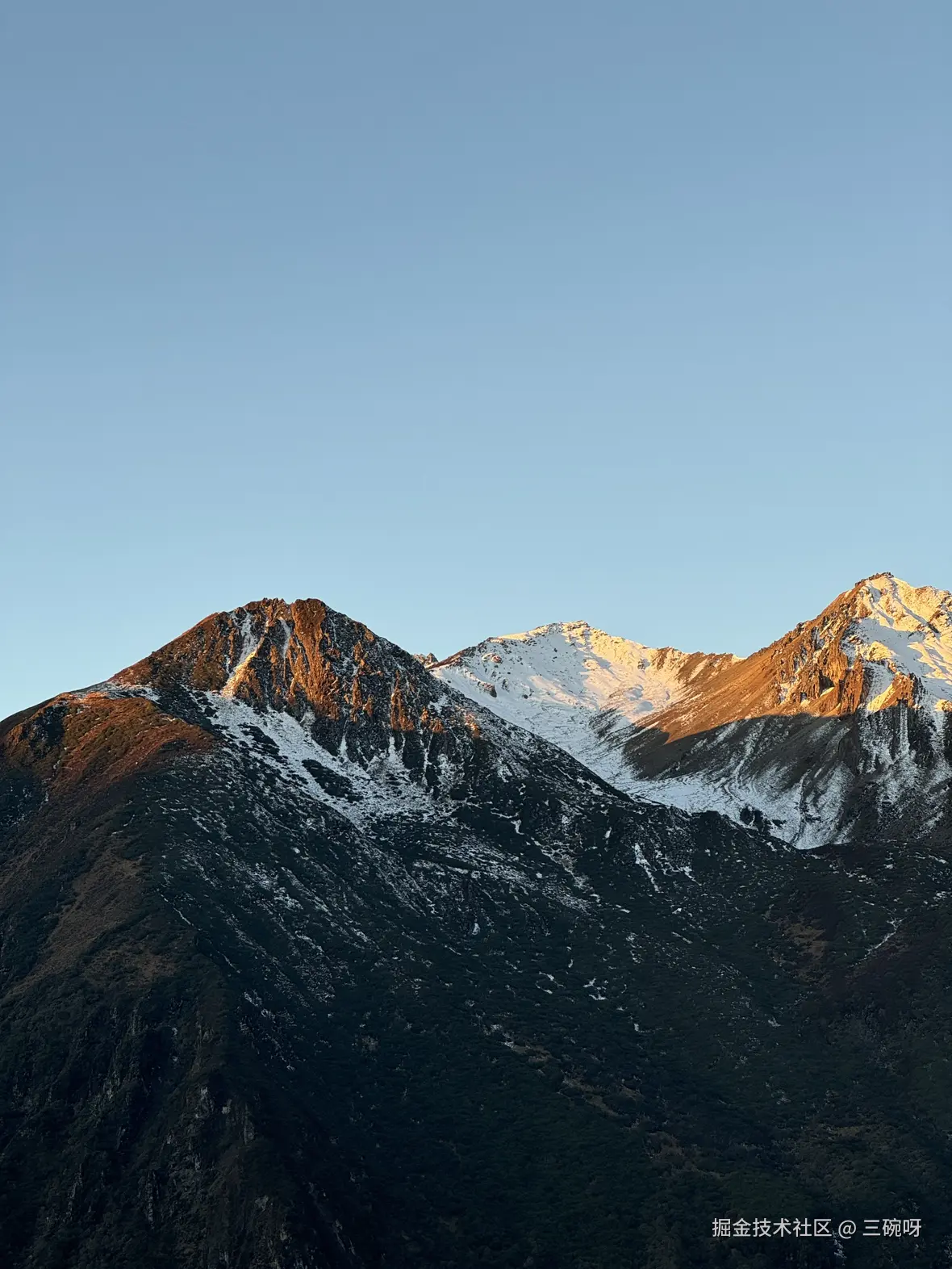 三碗呀于2024-11-11 16:50发布的图片