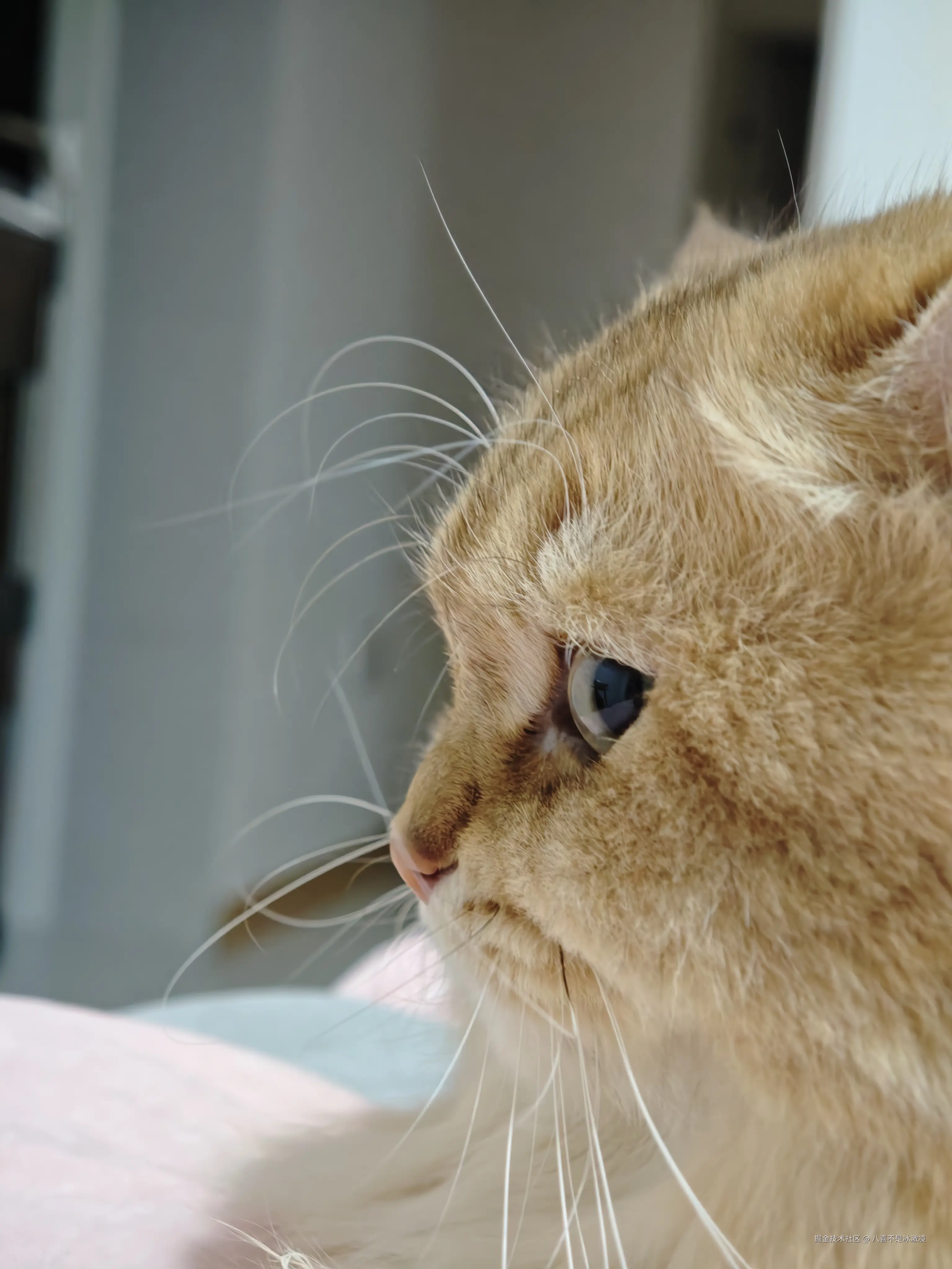 八喜不是冰激凌于2025-12-08 10:44发布的图片