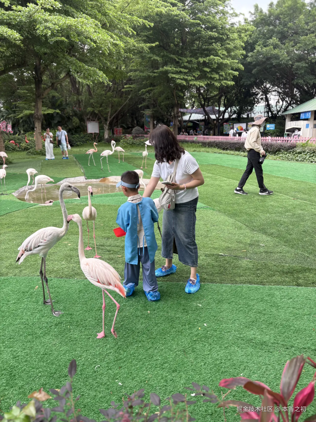 本善之初于2025-05-06 15:14发布的图片