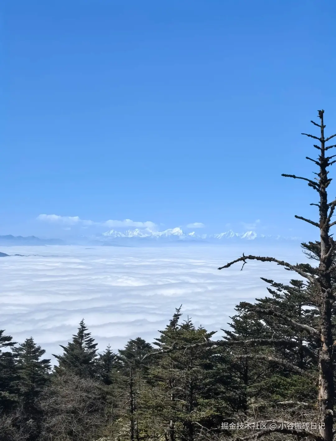 小谷搬砖日记于2026-02-18 17:59发布的图片