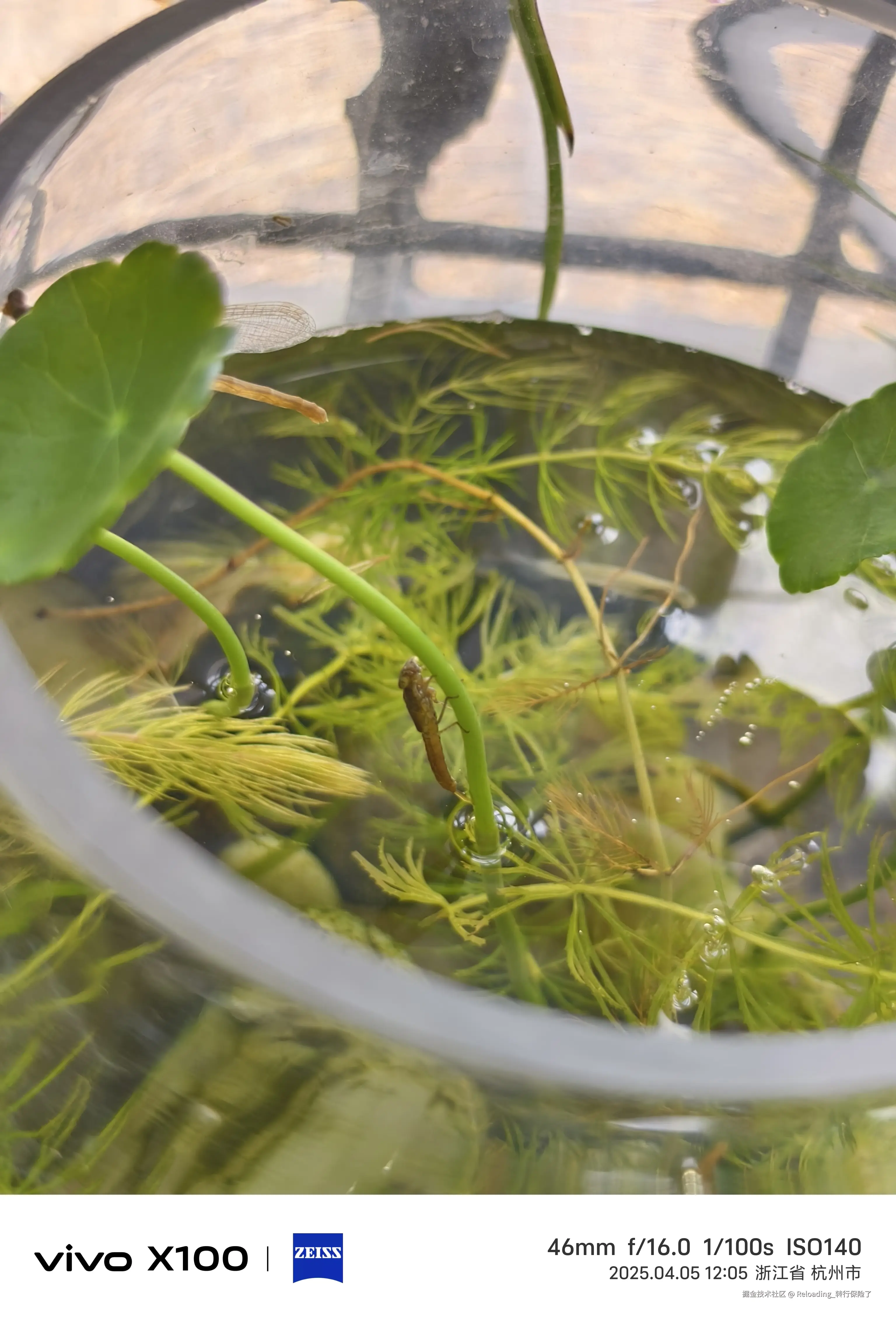 Reloading_转行保险了于2025-04-05 15:17发布的图片