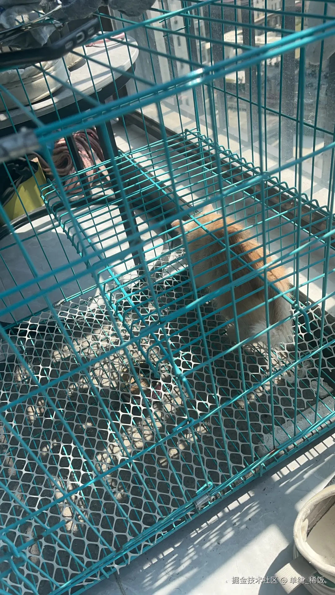 单纯_稀饭于2025-03-18 16:27发布的图片