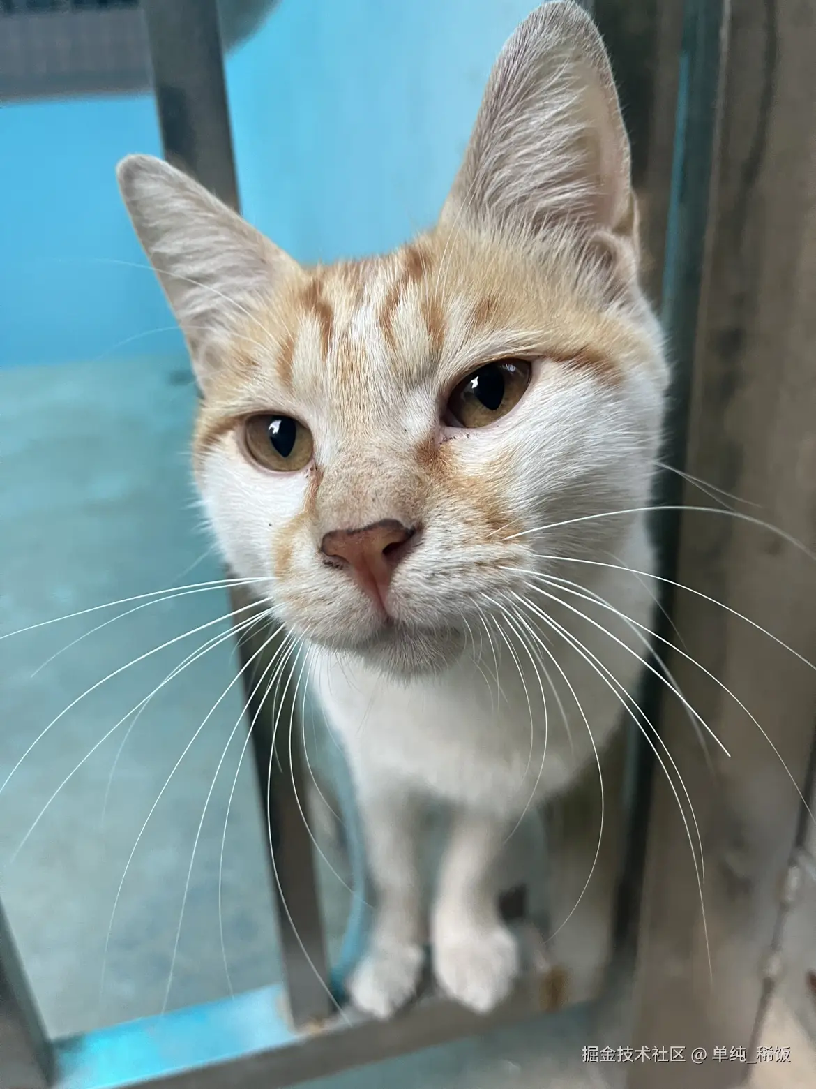 单纯_稀饭于2025-09-10 08:17发布的图片