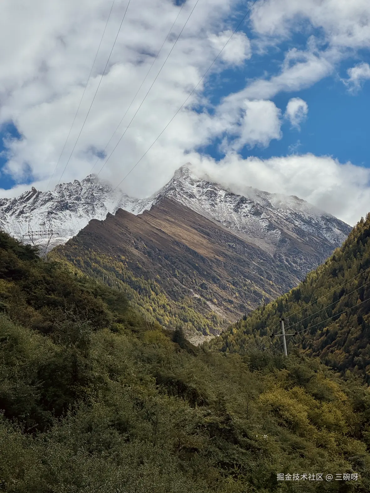 三碗呀于2025-11-24 10:42发布的图片