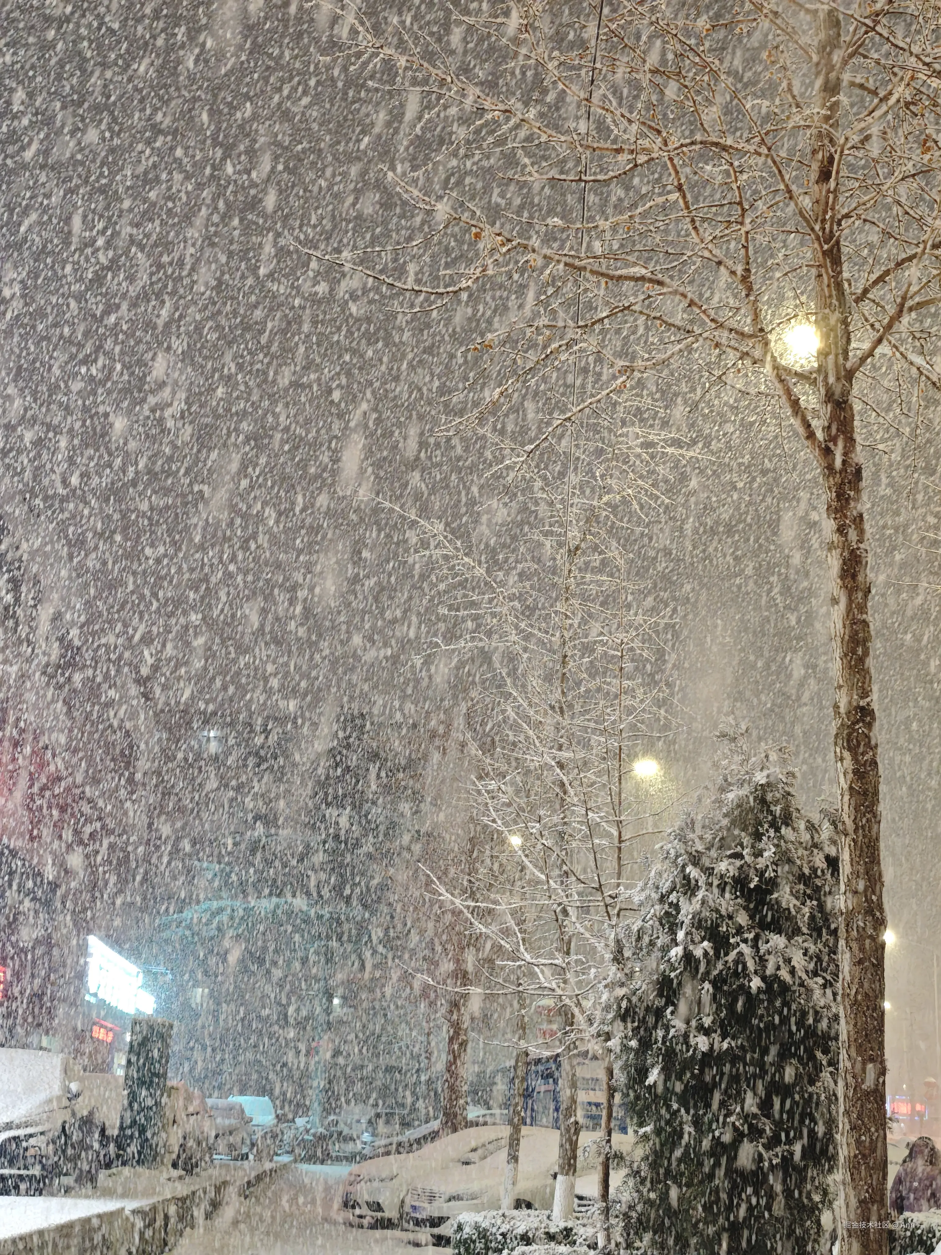 Ann于2025-01-15 09:38发布的图片