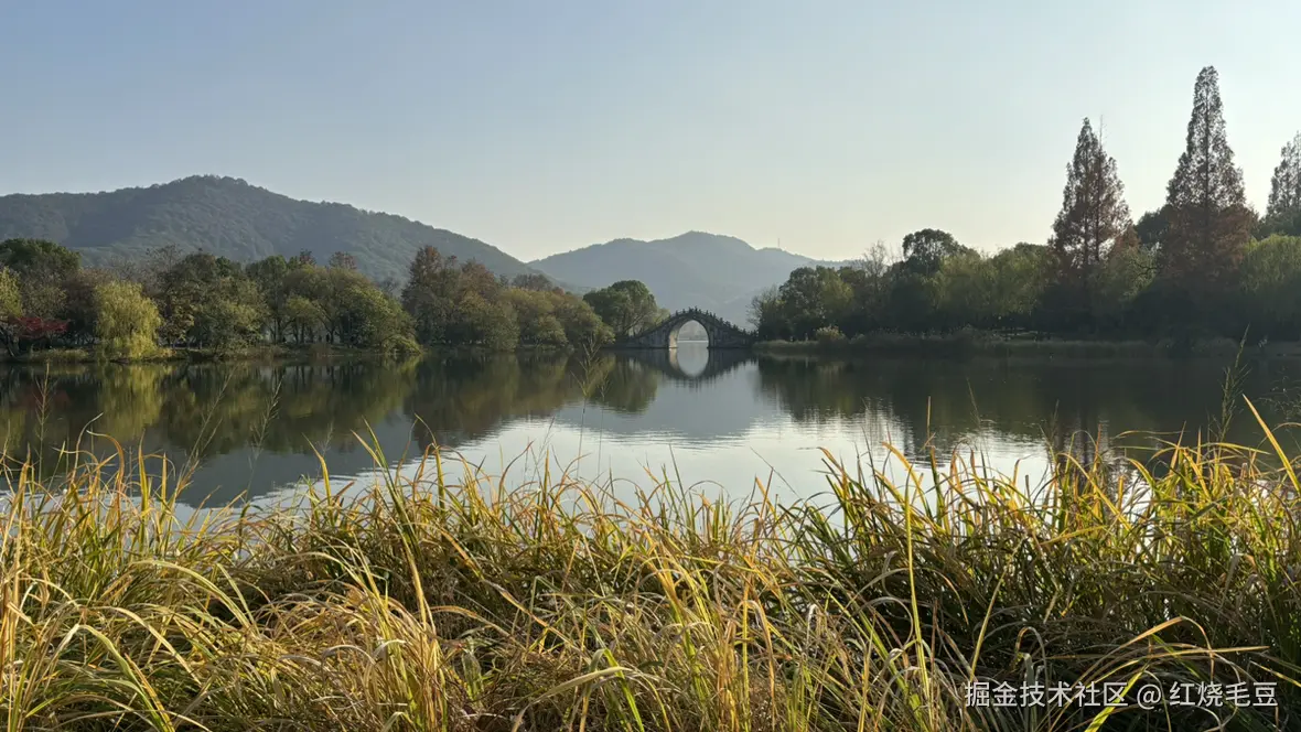 红烧毛豆于2025-12-10 09:59发布的图片