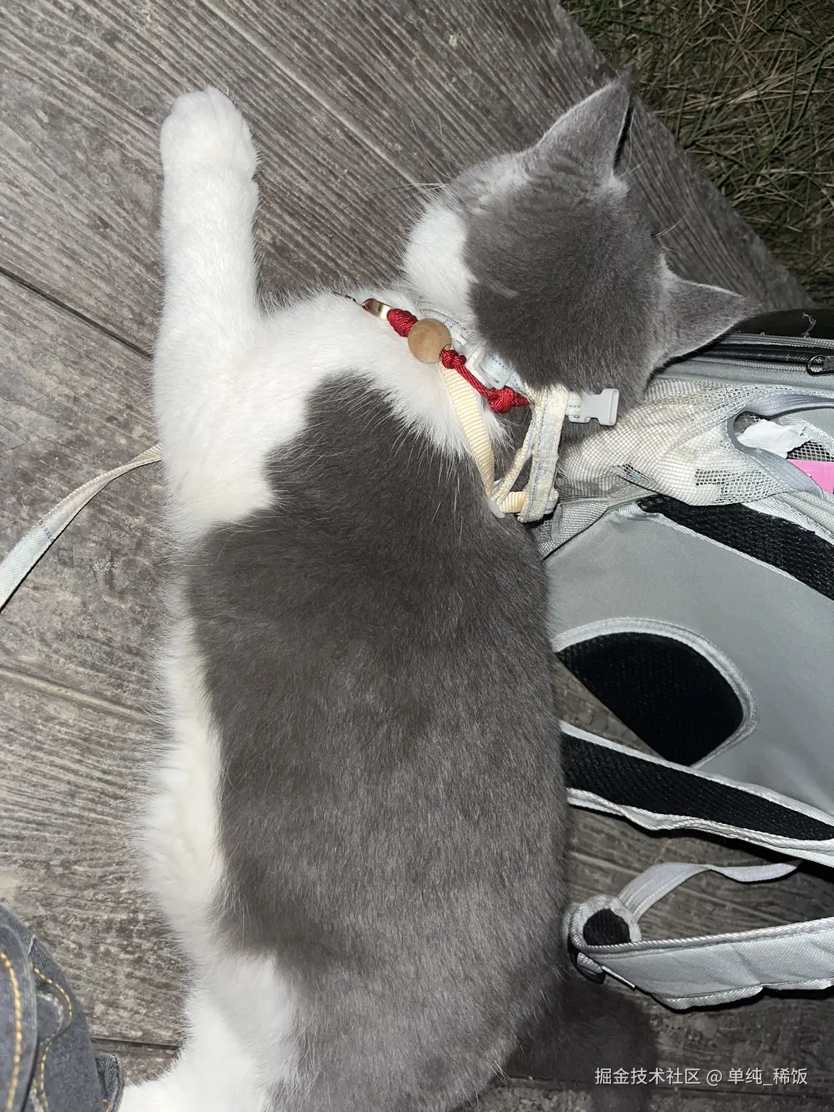 单纯_稀饭于2024-07-22 08:06发布的图片