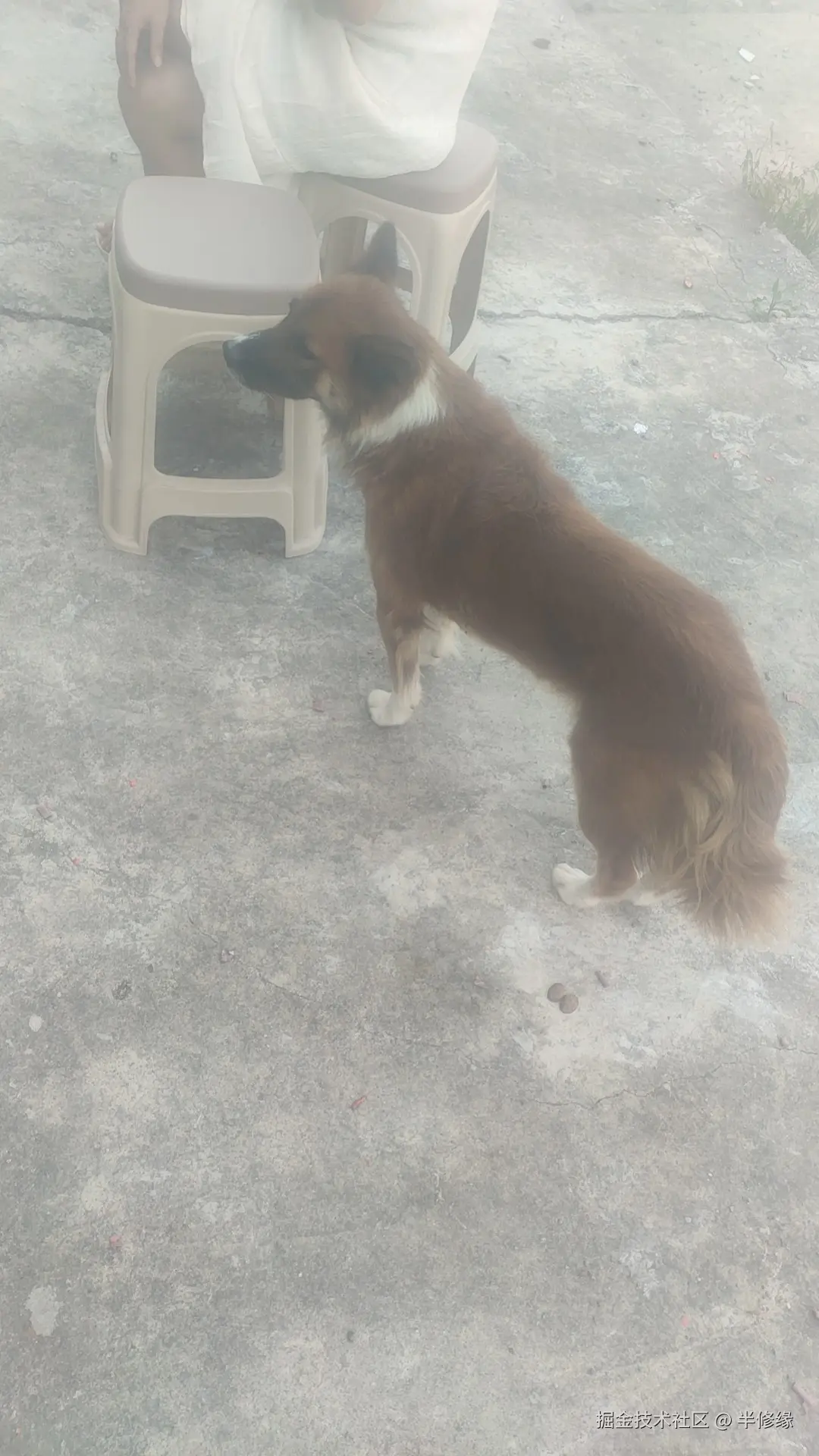 半修缘于2024-11-21 15:25发布的图片