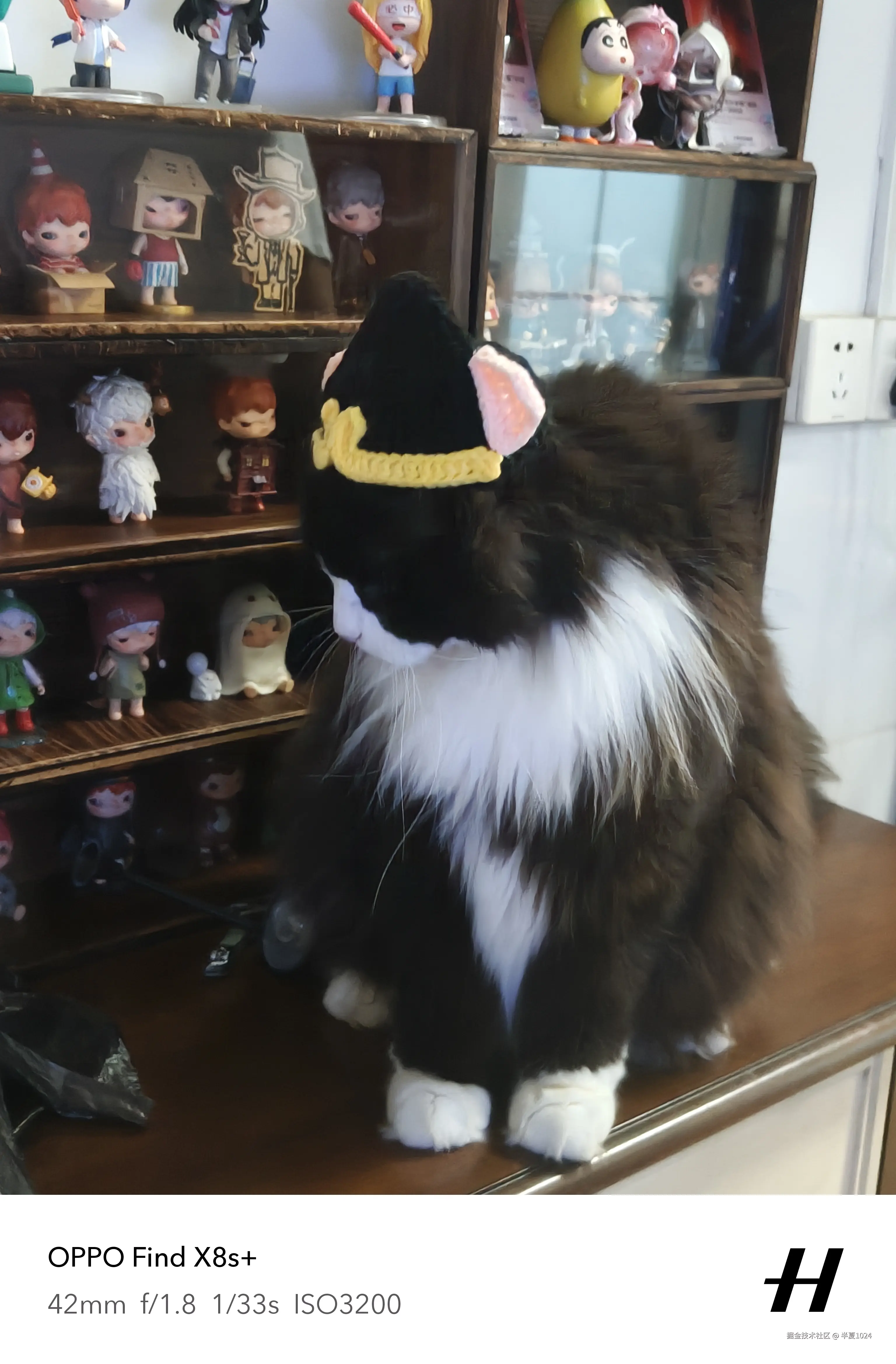 半夏1024于2025-06-25 03:23发布的图片