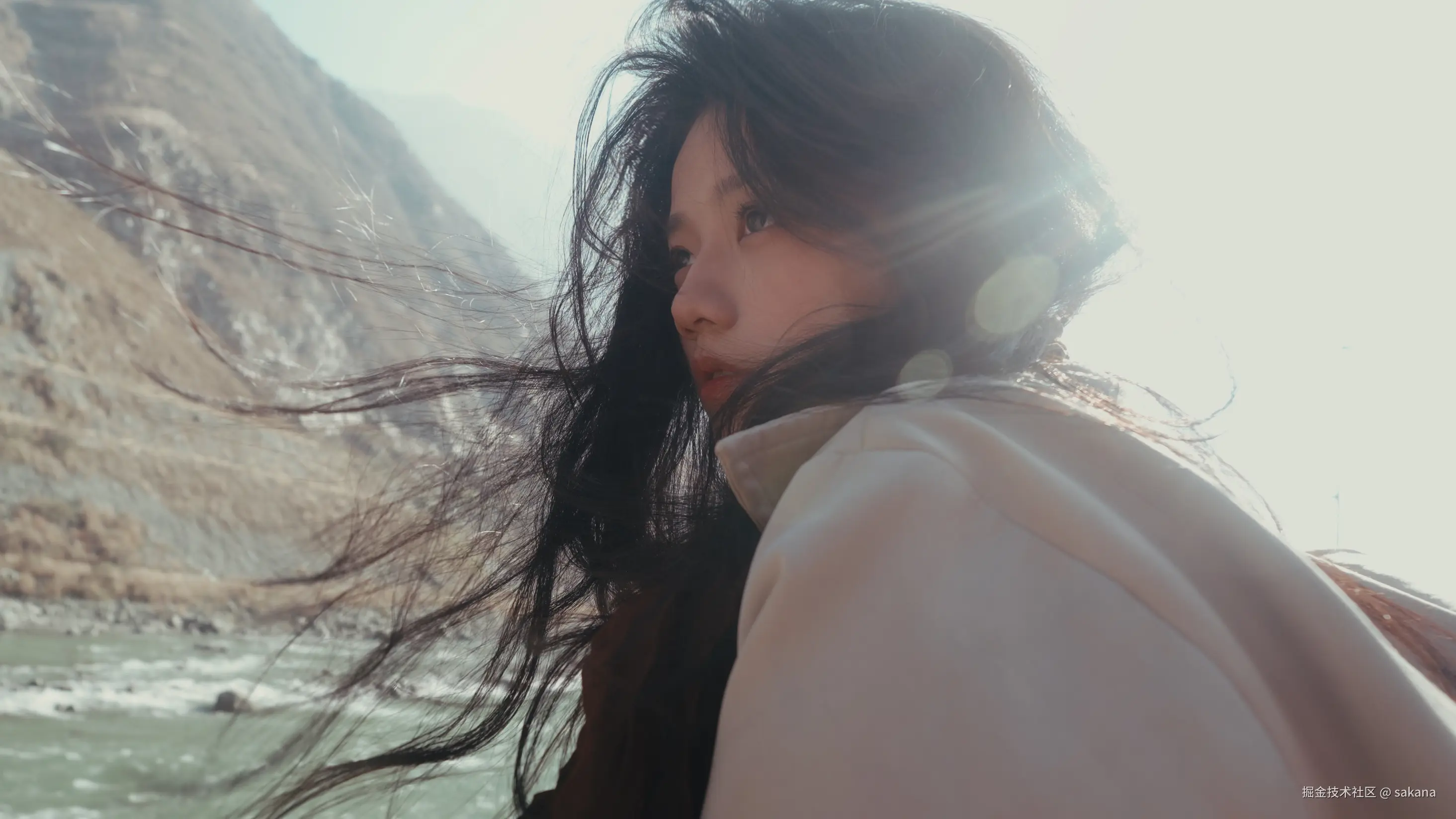 sakana于2026-01-02 11:33发布的图片