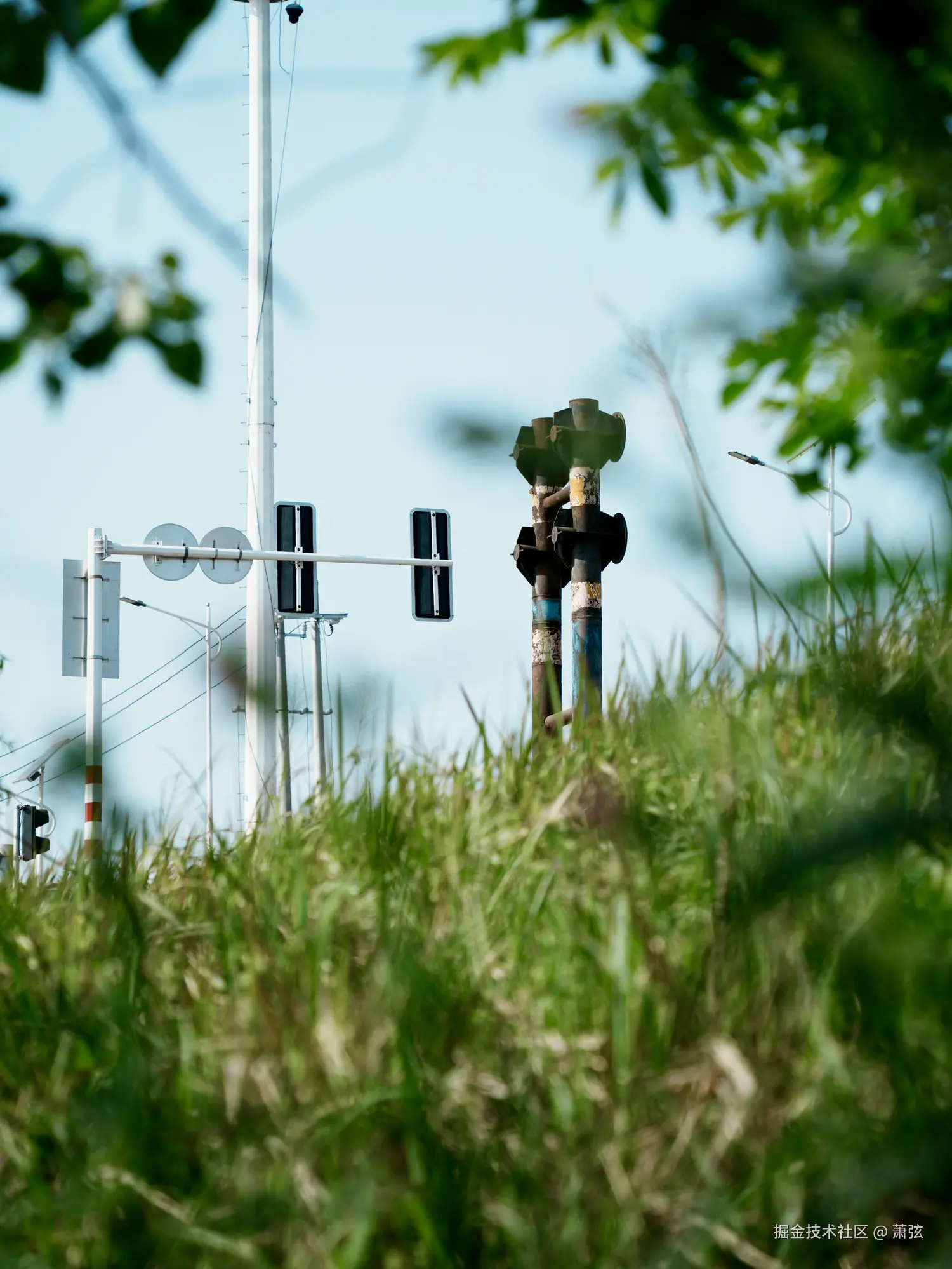 萧弦于2026-04-26 10:06发布的图片