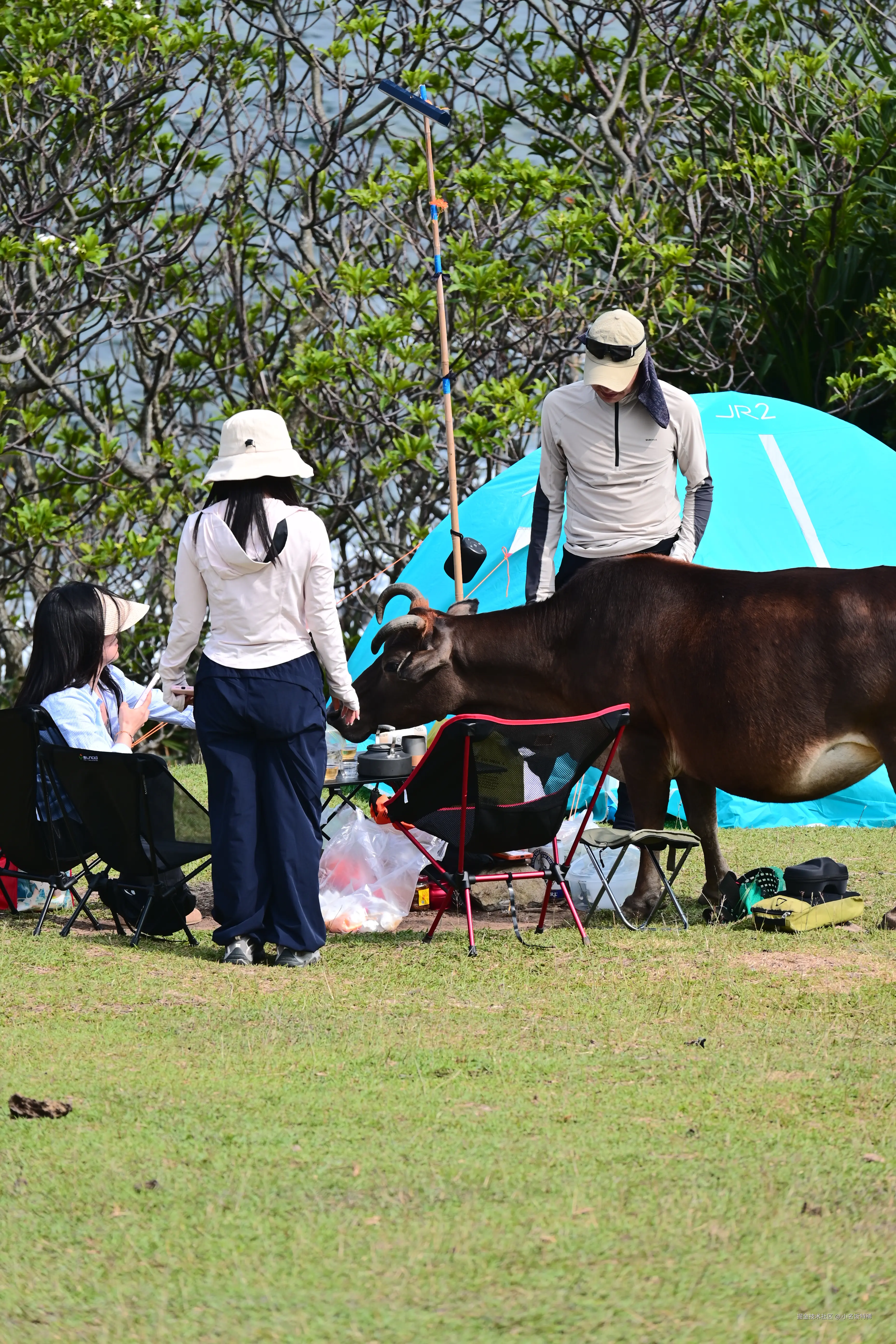 小名饭特稀于2026-04-27 10:47发布的图片