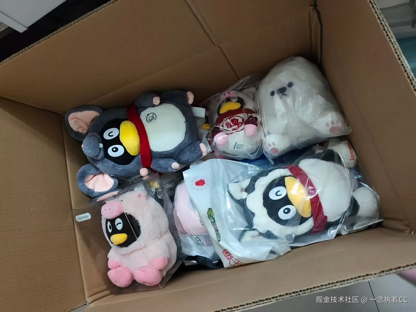 一念执着CC于2025-11-10 17:00发布的图片