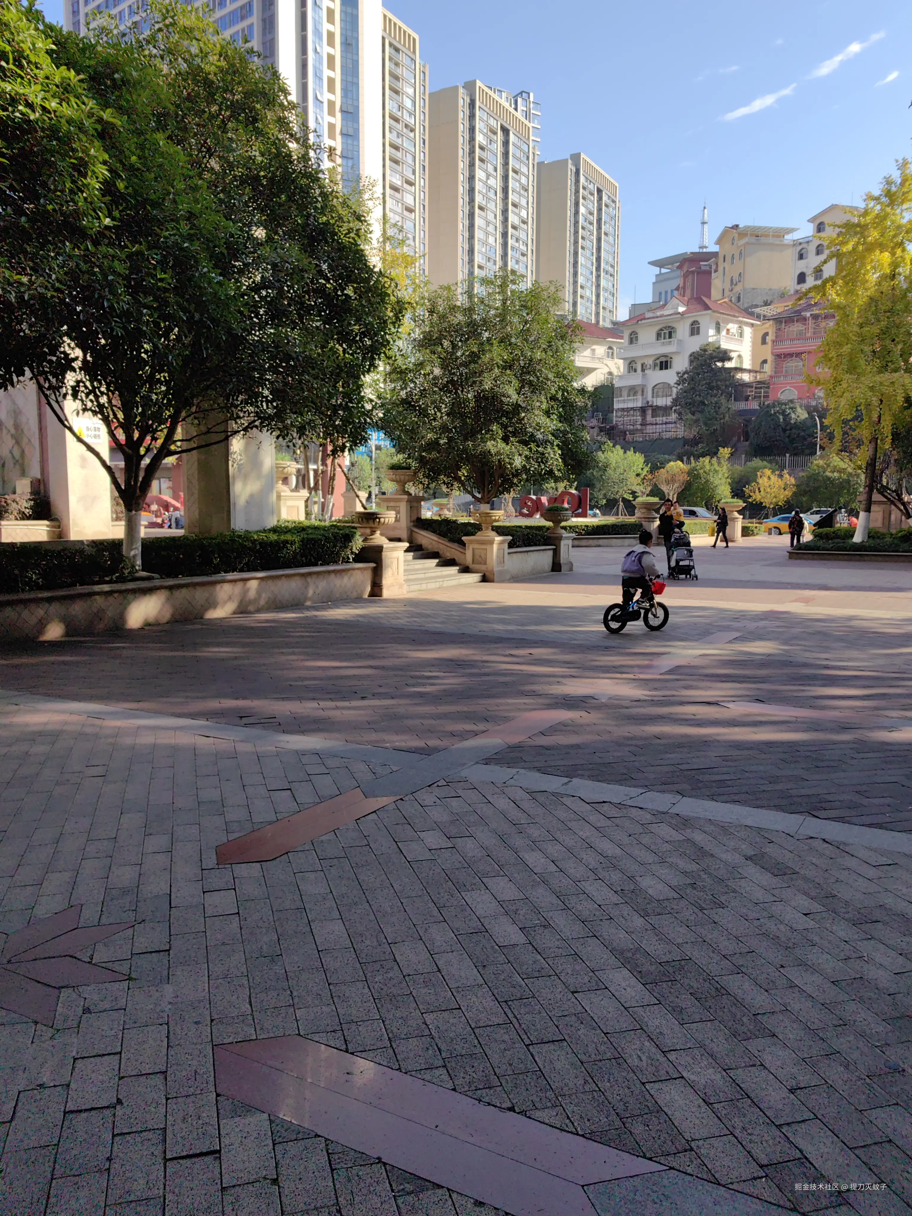 提刀灭蚊子于2024-11-30 10:12发布的图片