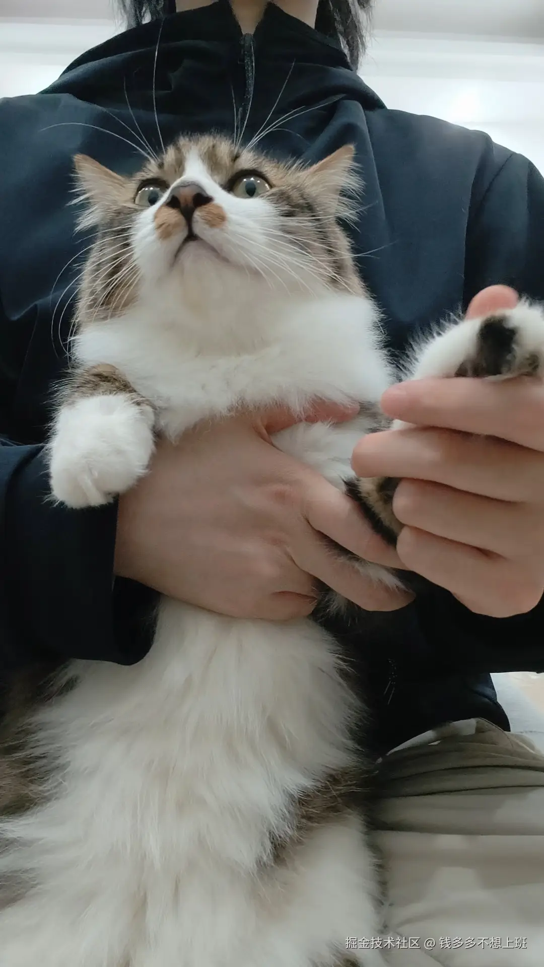 钱多多不想上班于2025-11-17 10:49发布的图片