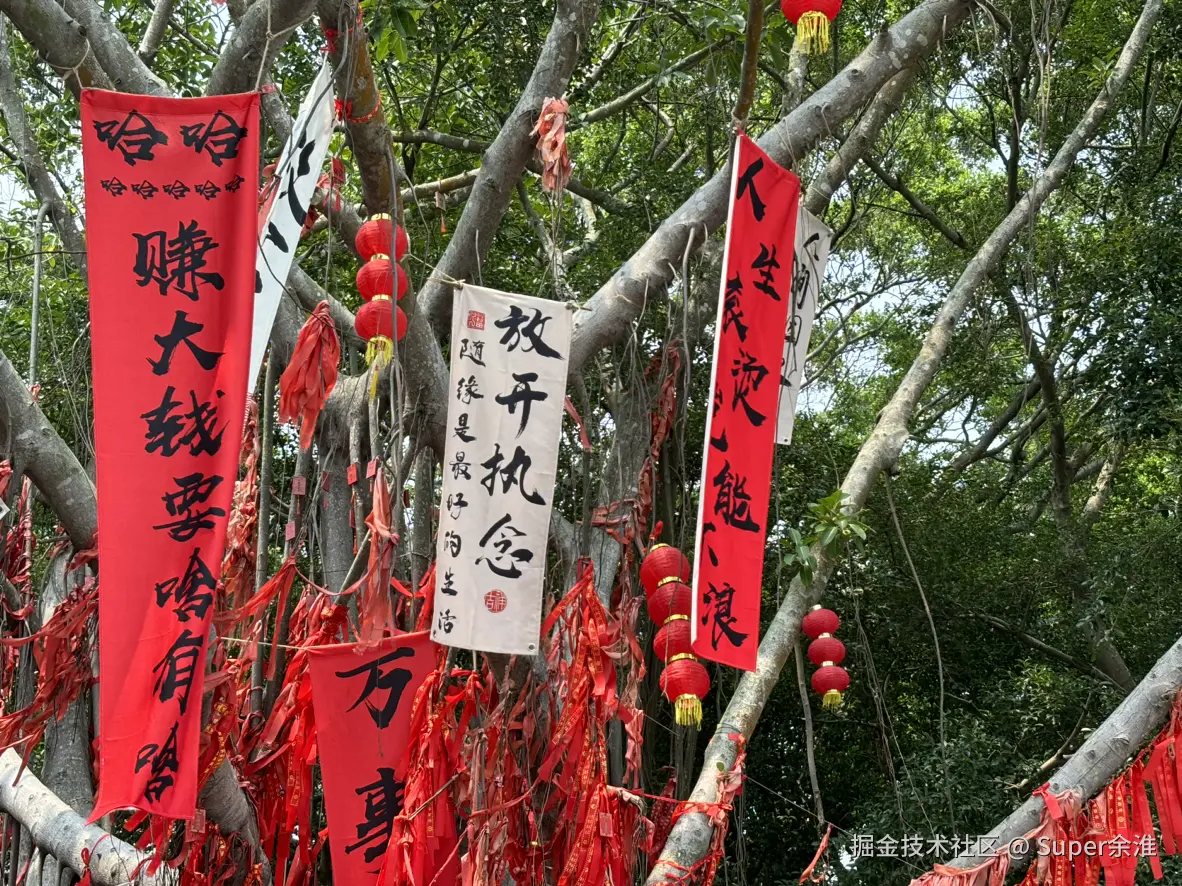 Super余淮于2024-11-13 14:58发布的图片