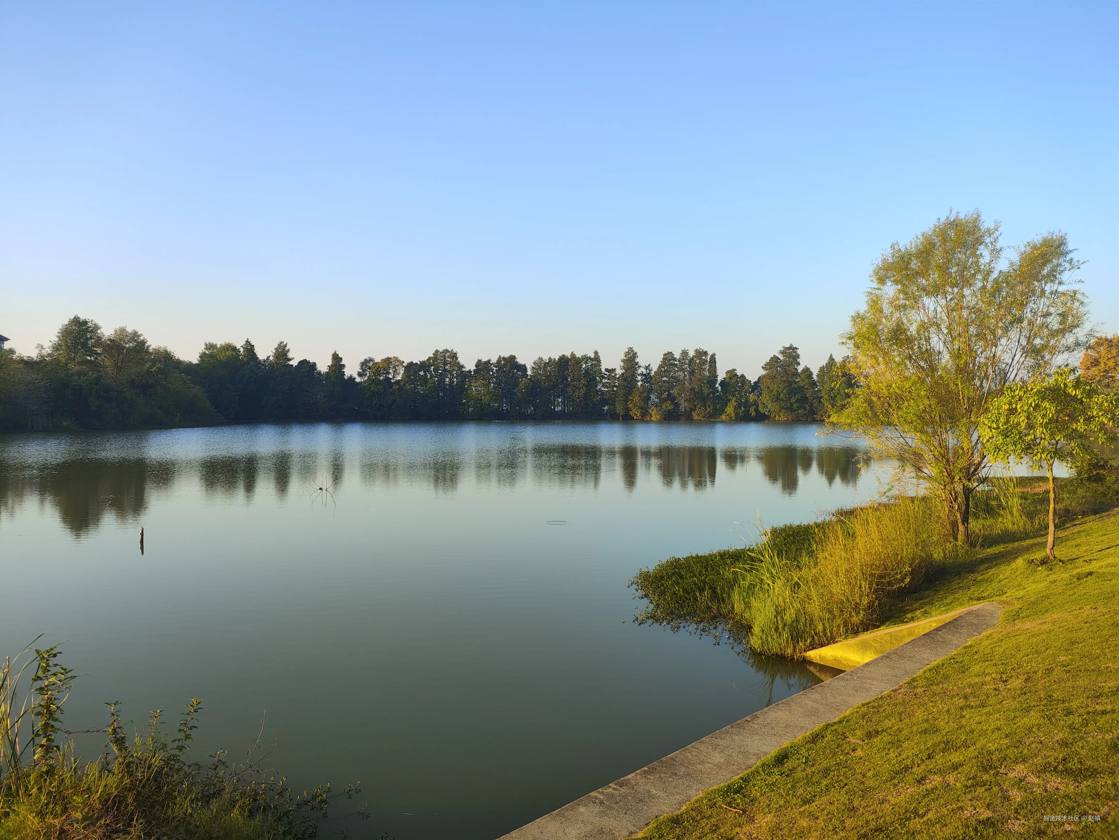 赵镇于2024-10-31 09:59发布的图片