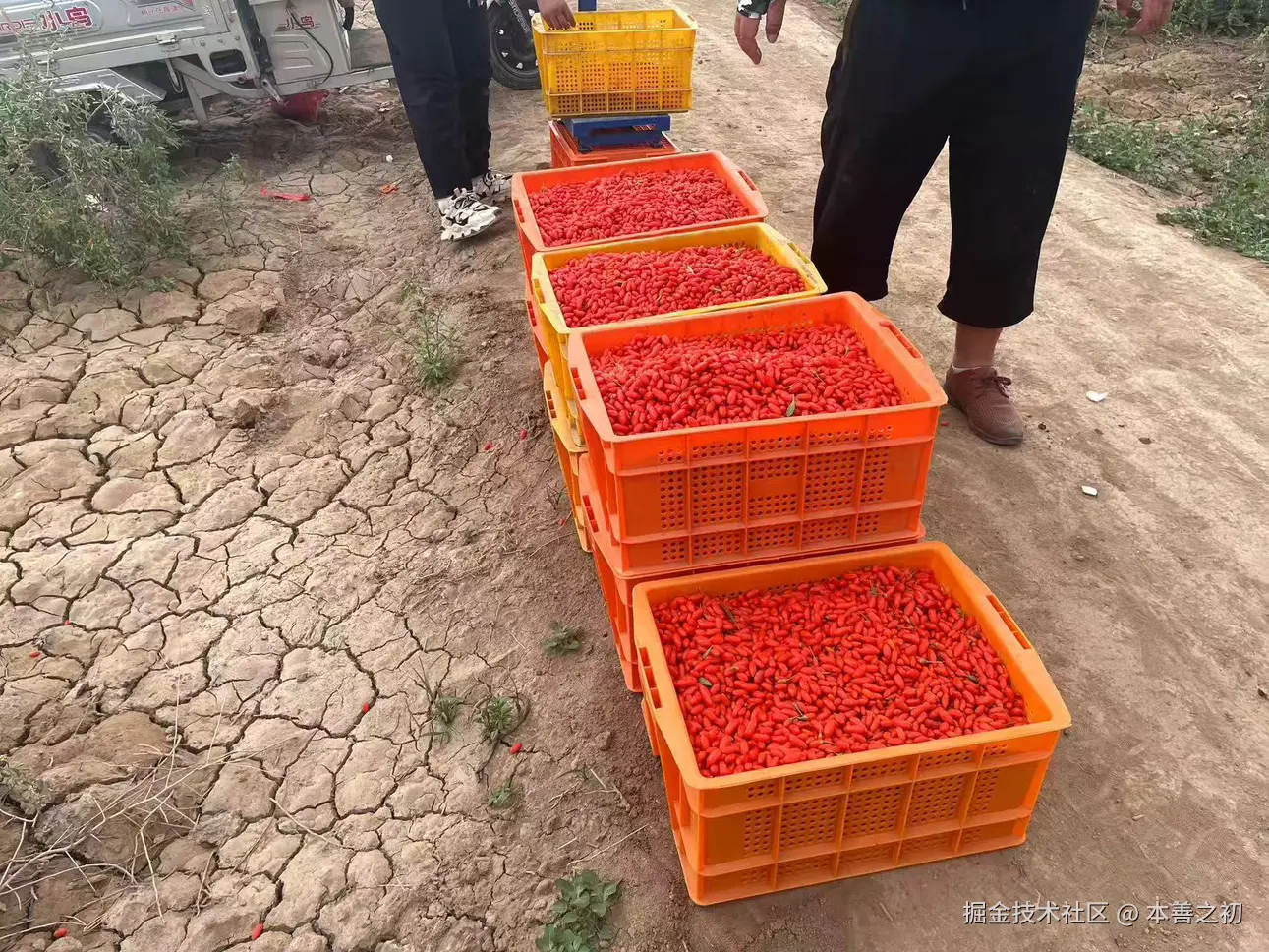 本善之初于2025-06-13 16:10发布的图片