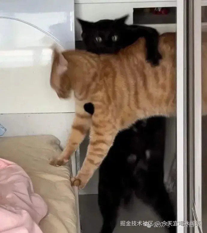 今天宜喝冰阔落于2024-10-08 10:54发布的图片