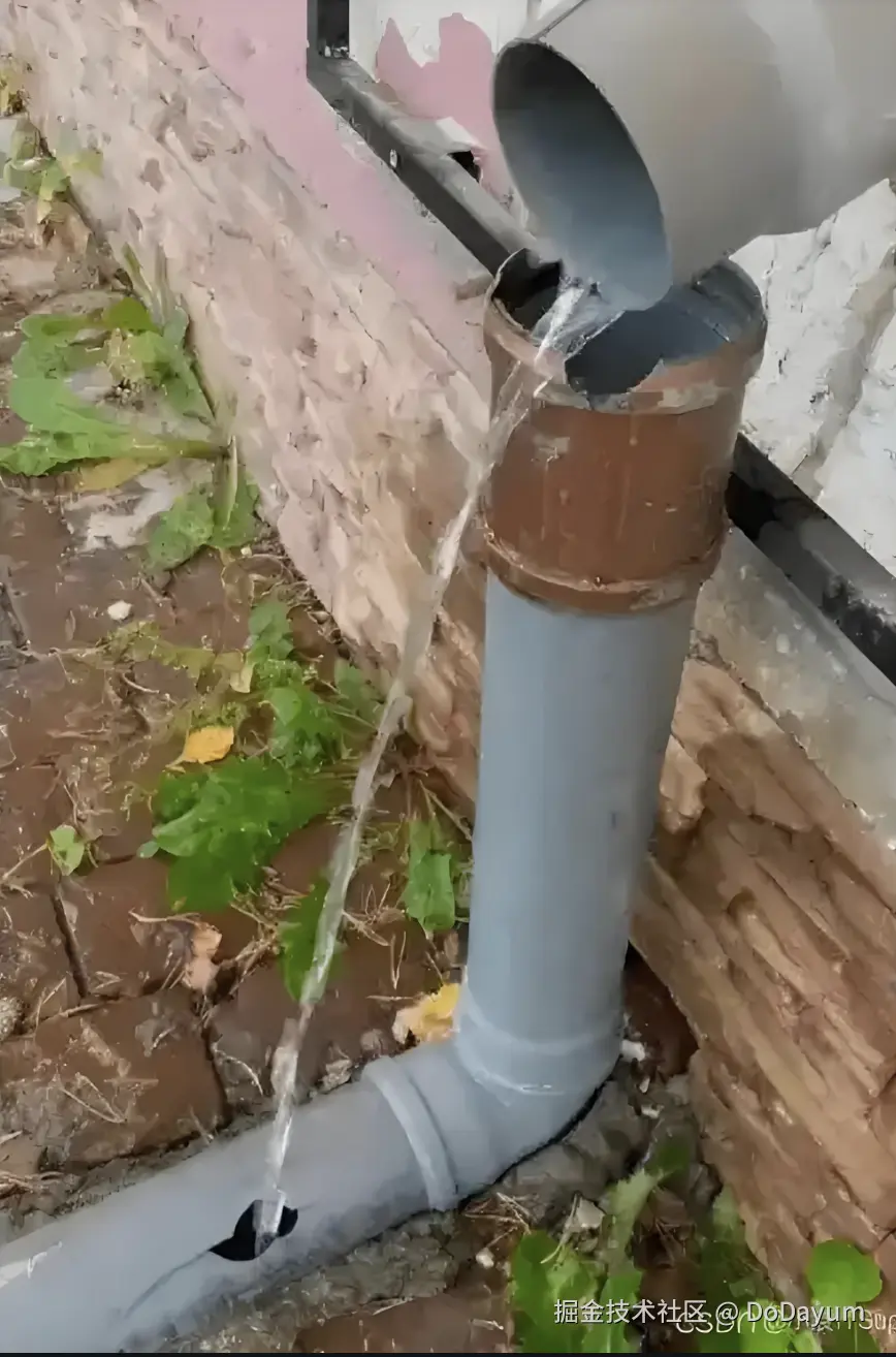 DoDayum于2025-03-18 15:59发布的图片