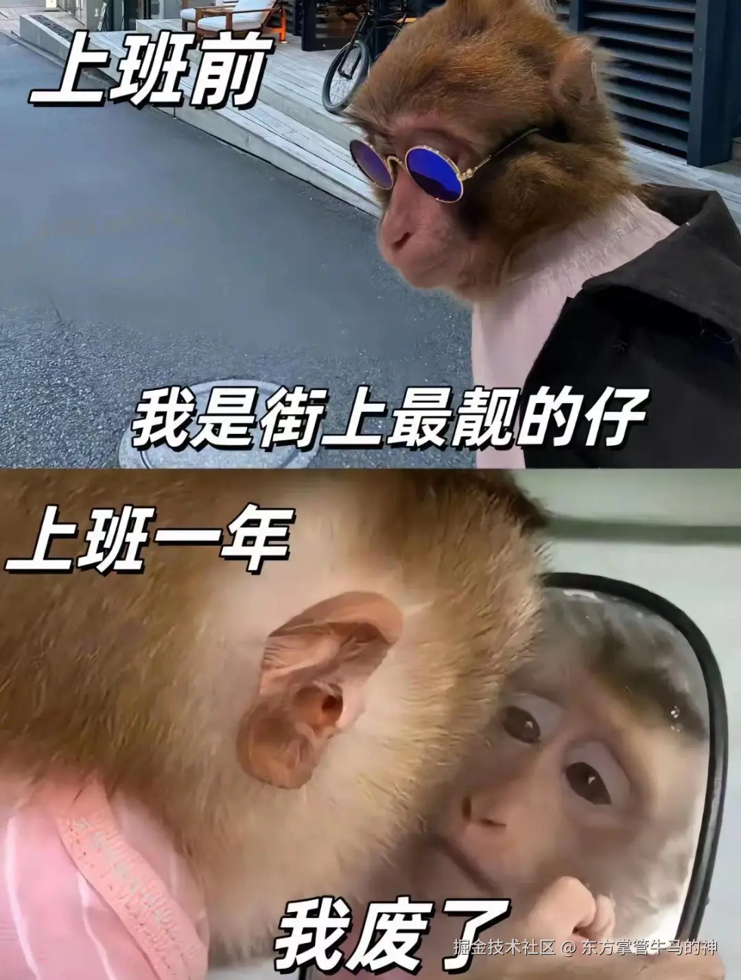 东方掌管牛马的神于2024-07-30 16:50发布的图片