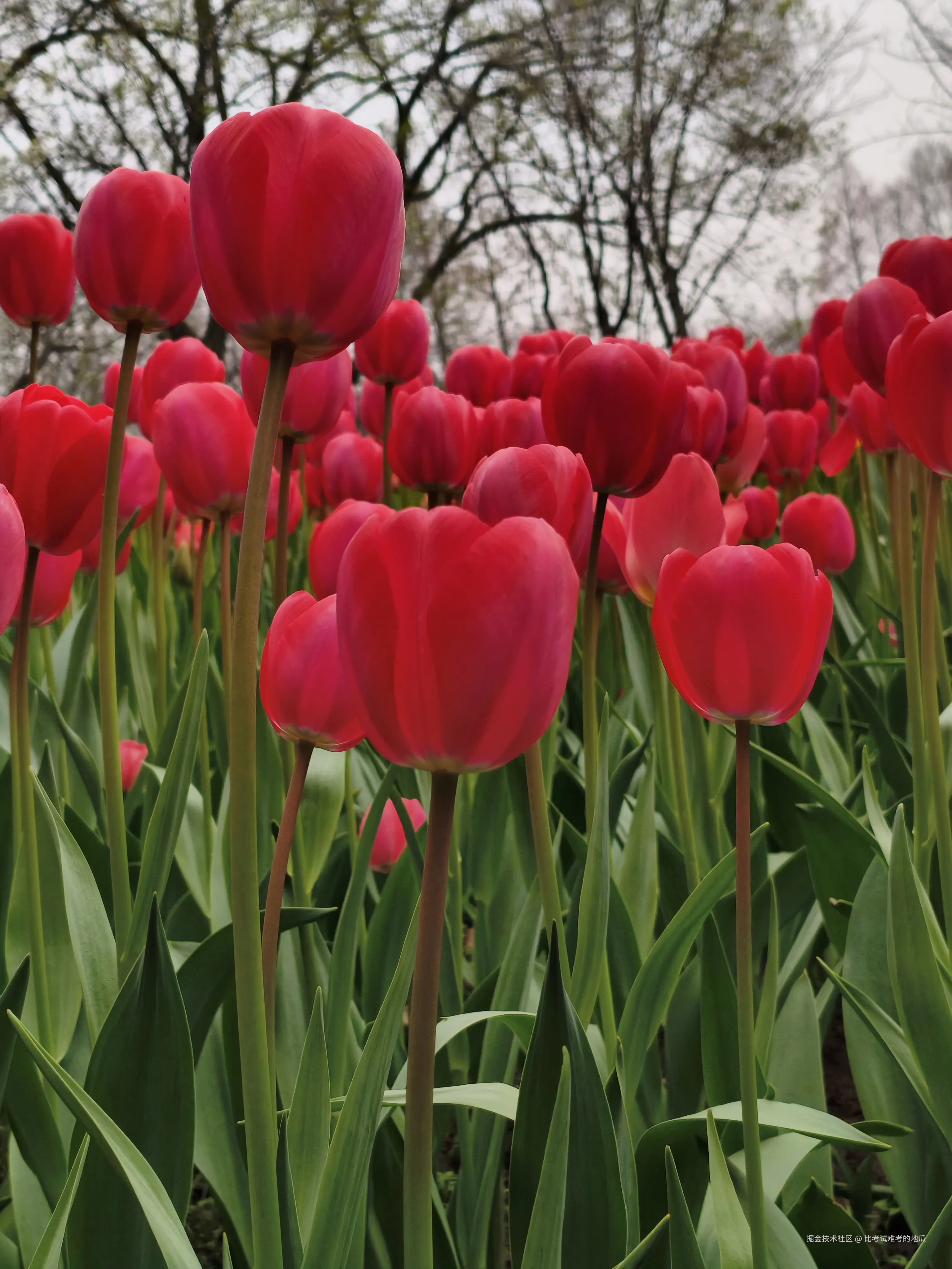 比考试难考的地瓜于2026-03-23 12:05发布的图片