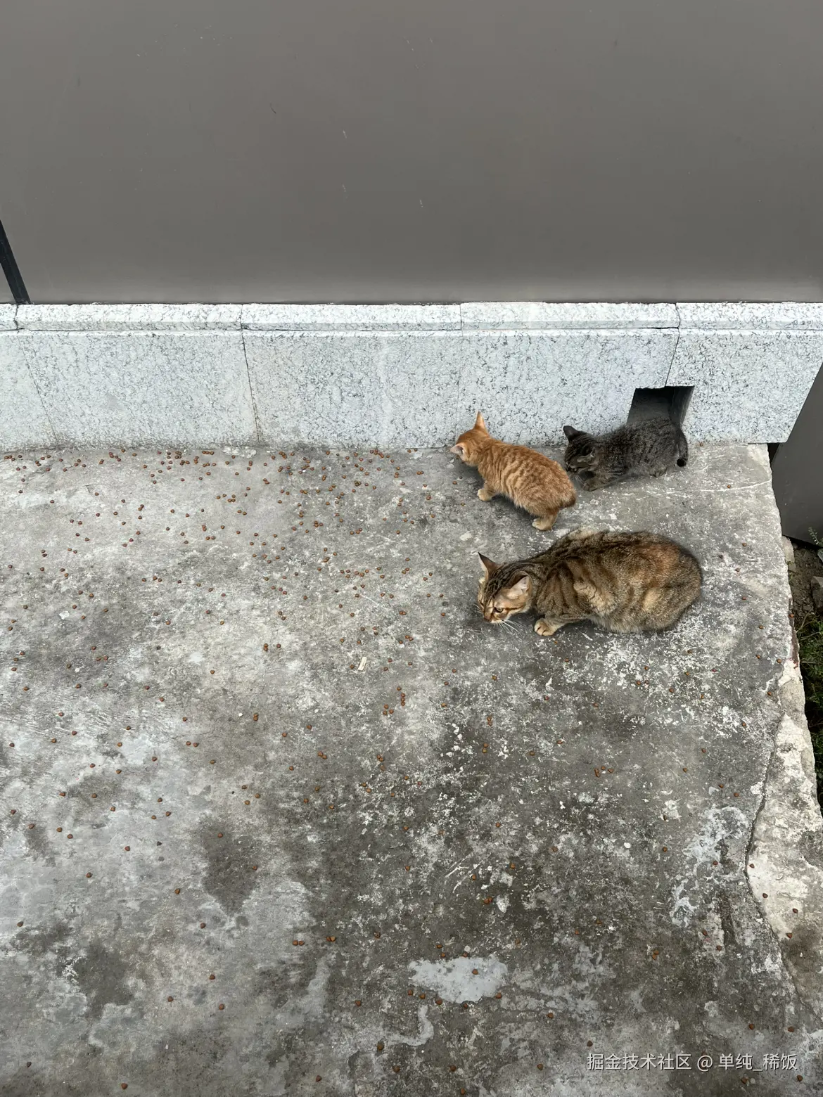 单纯_稀饭于2024-11-19 13:04发布的图片