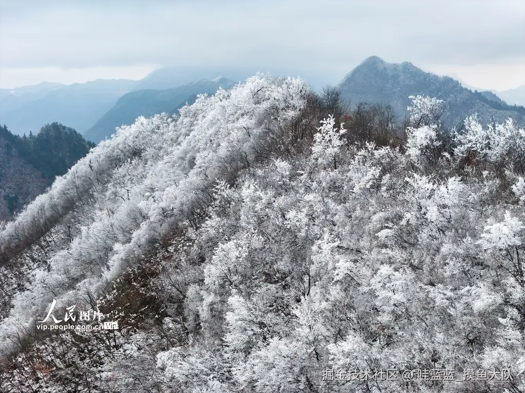 哇蓝蓝_摸鱼大队于2026-02-05 09:29发布的图片